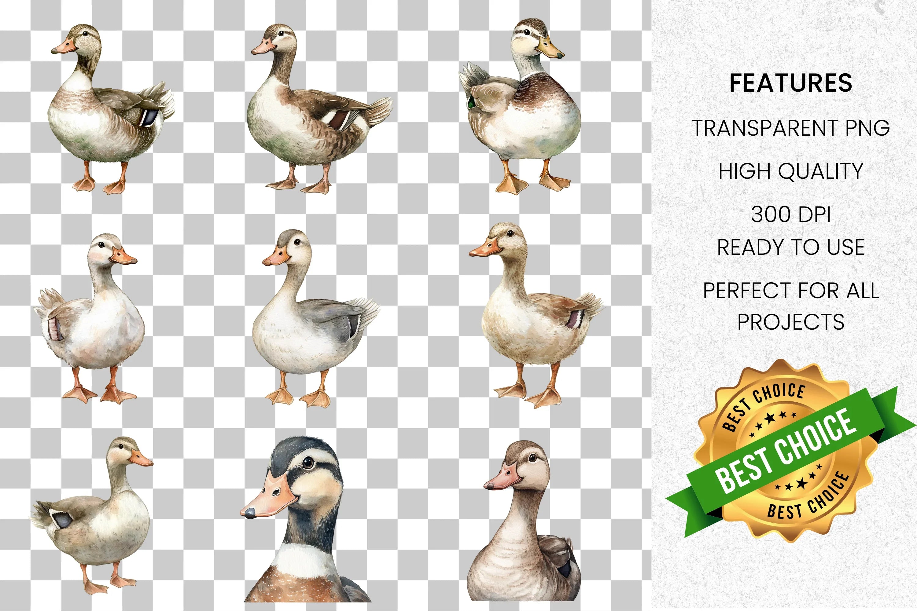 Hand Painted Duck Clipart Bundle
