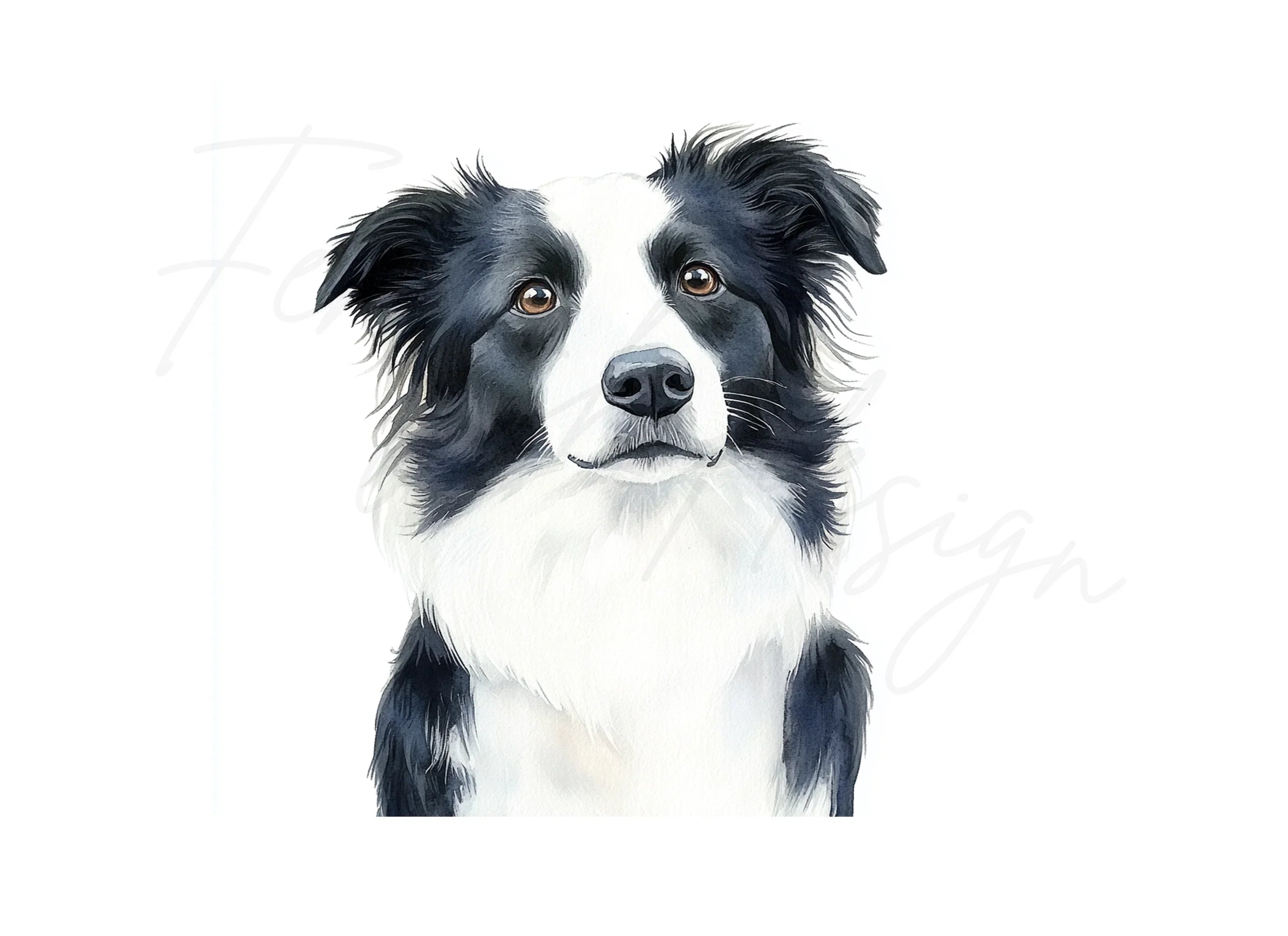 Majestic Border Collie Portrait Clipart Bundle