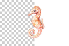 Nursery Seahorse Clipart Bundle - CraftNest - Digital Crafting and Art