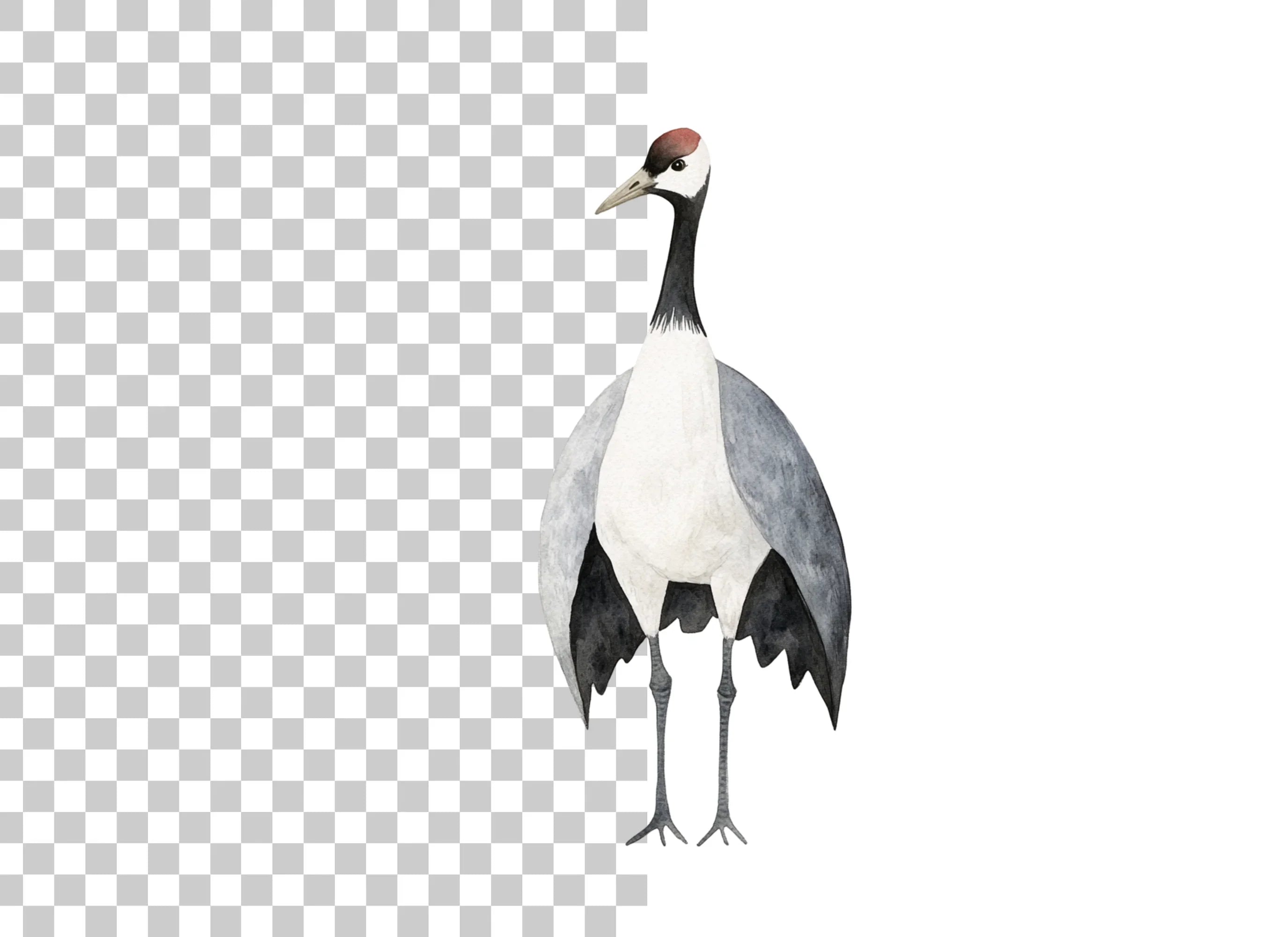 Elegant Red Crowned Crane Clipart Bundle