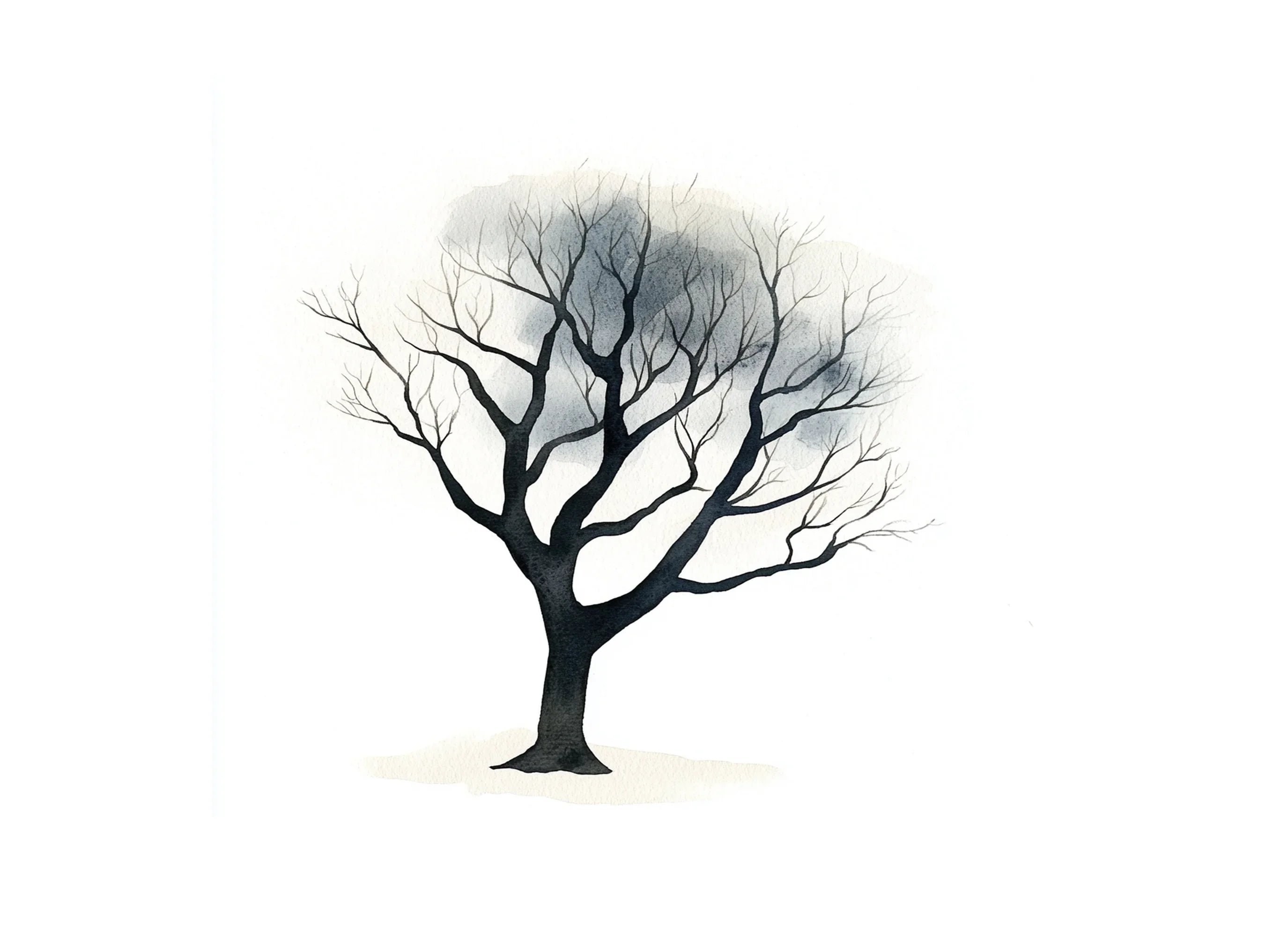 Monochromatic Tree Illustrations Clipart Bundle