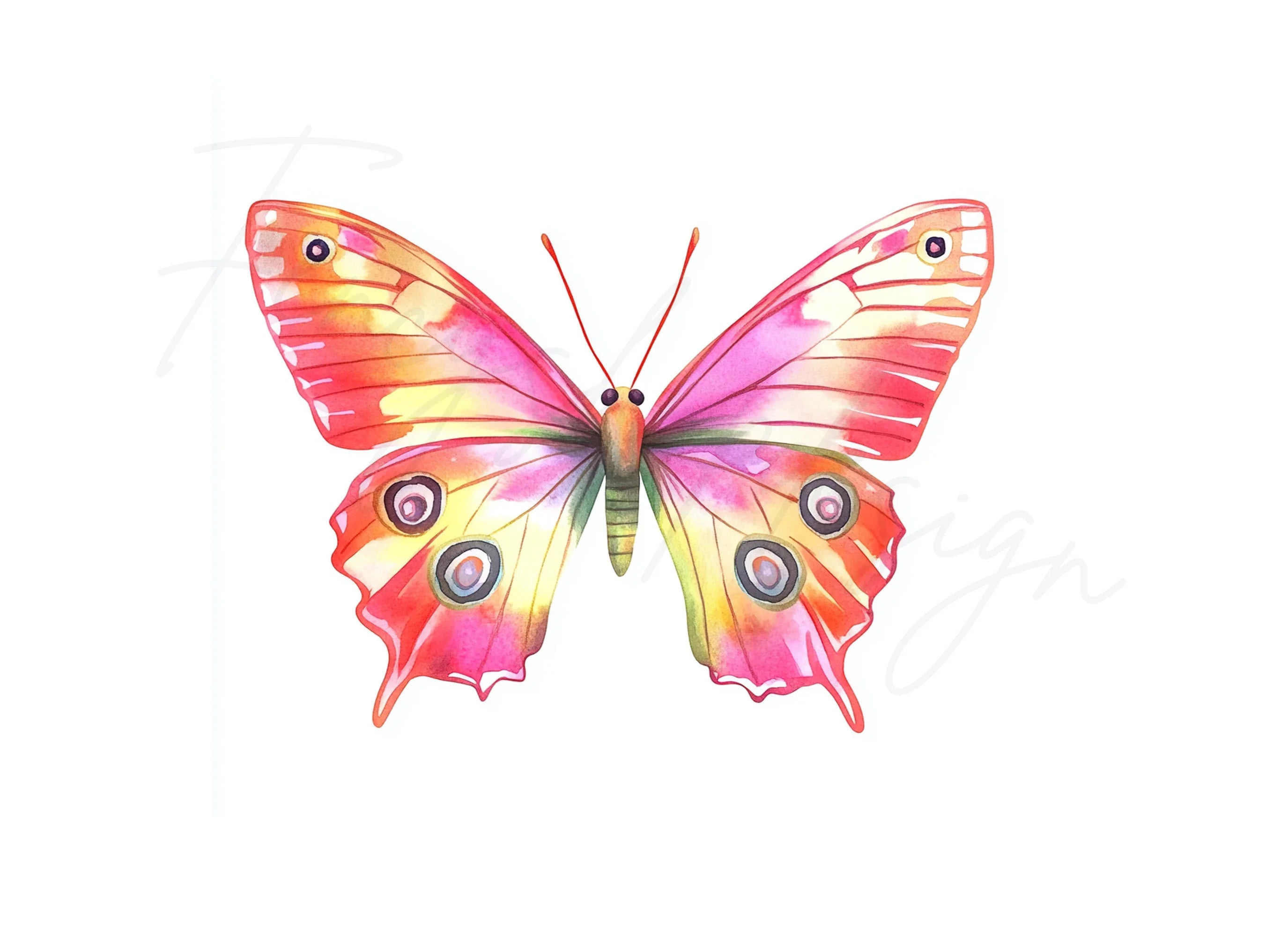 Butterfly Clipart Bundle