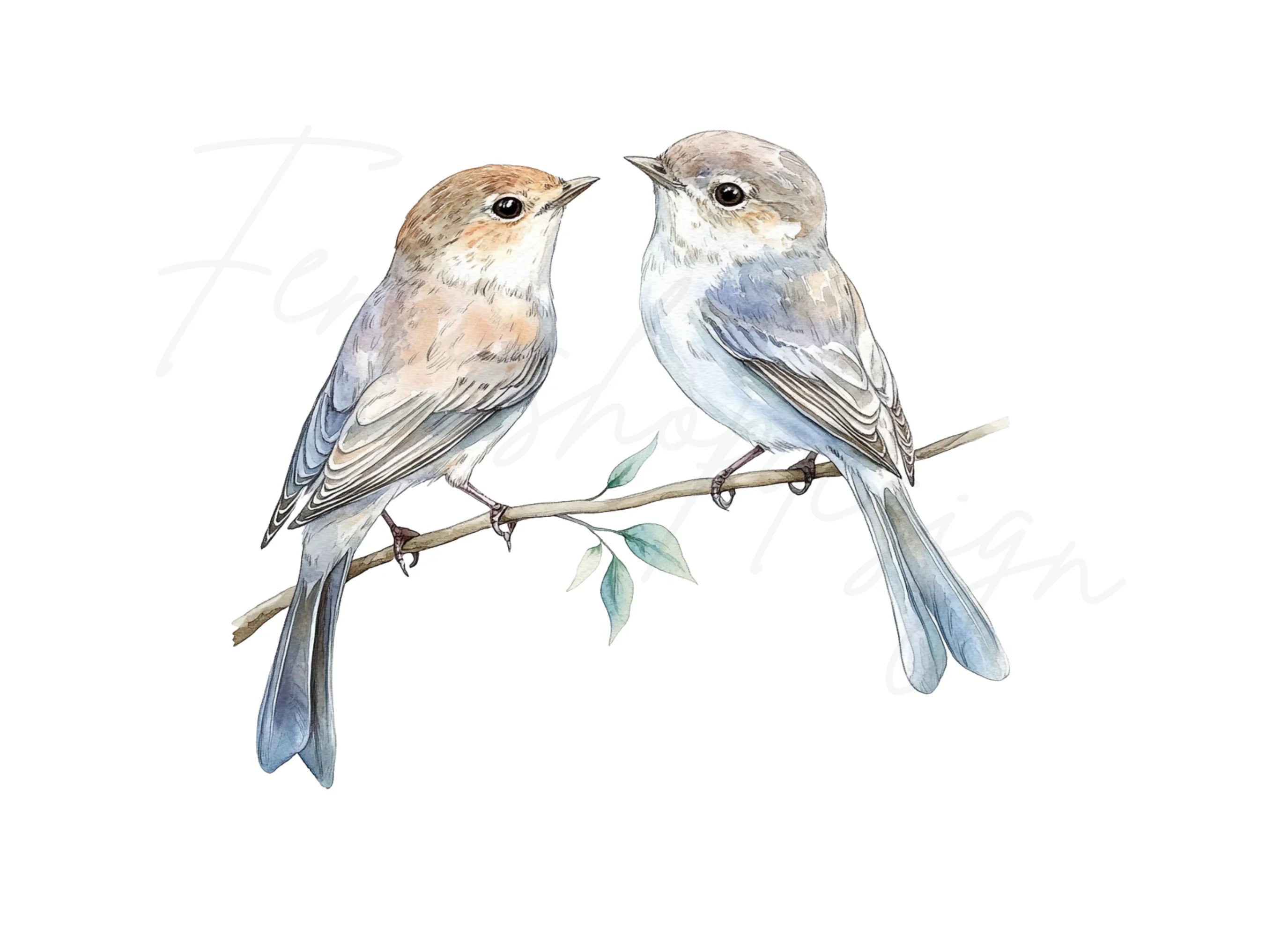 Birds on Branch Clipart Bundle