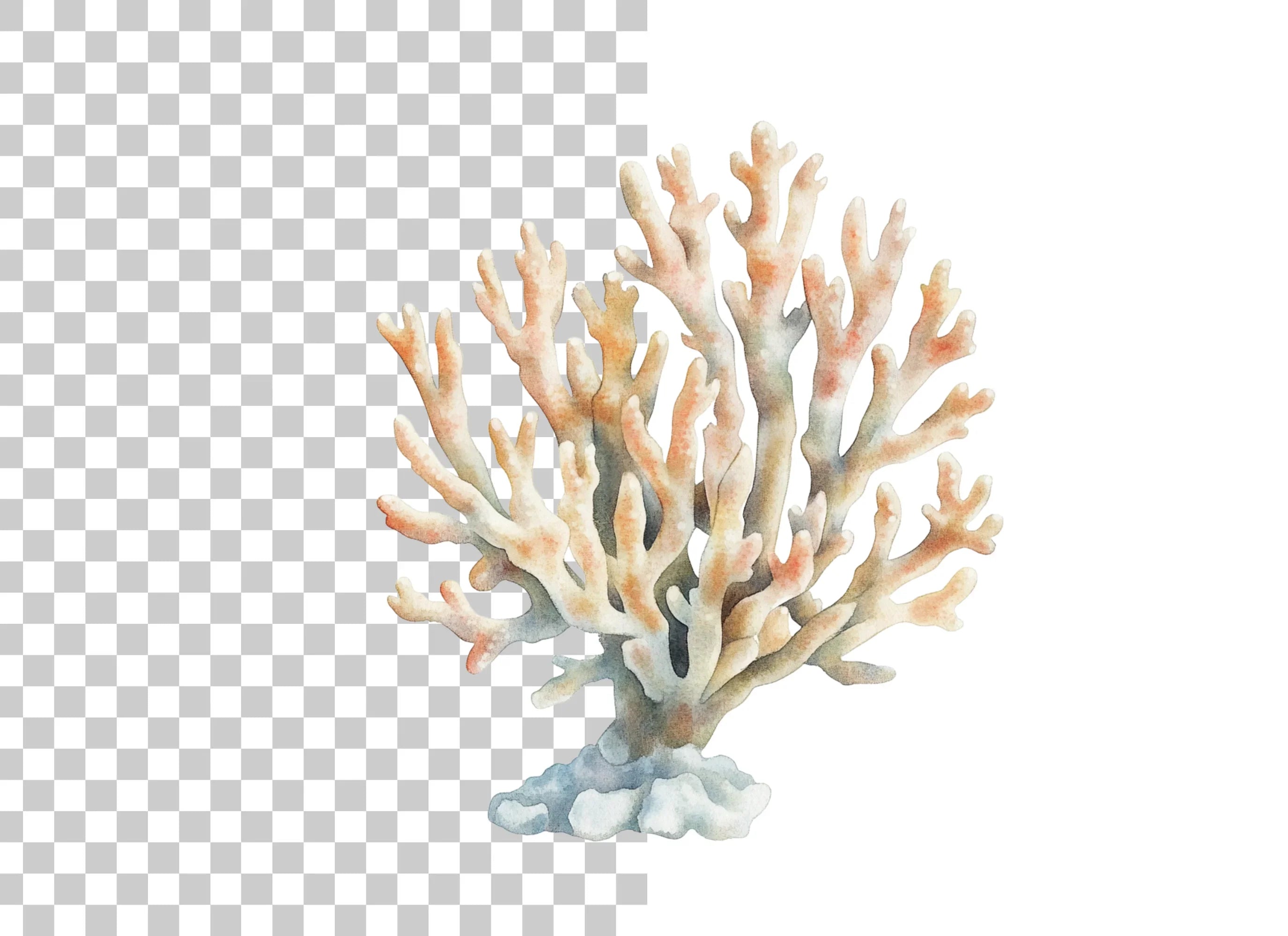 Coral Reef Clipart Bundle