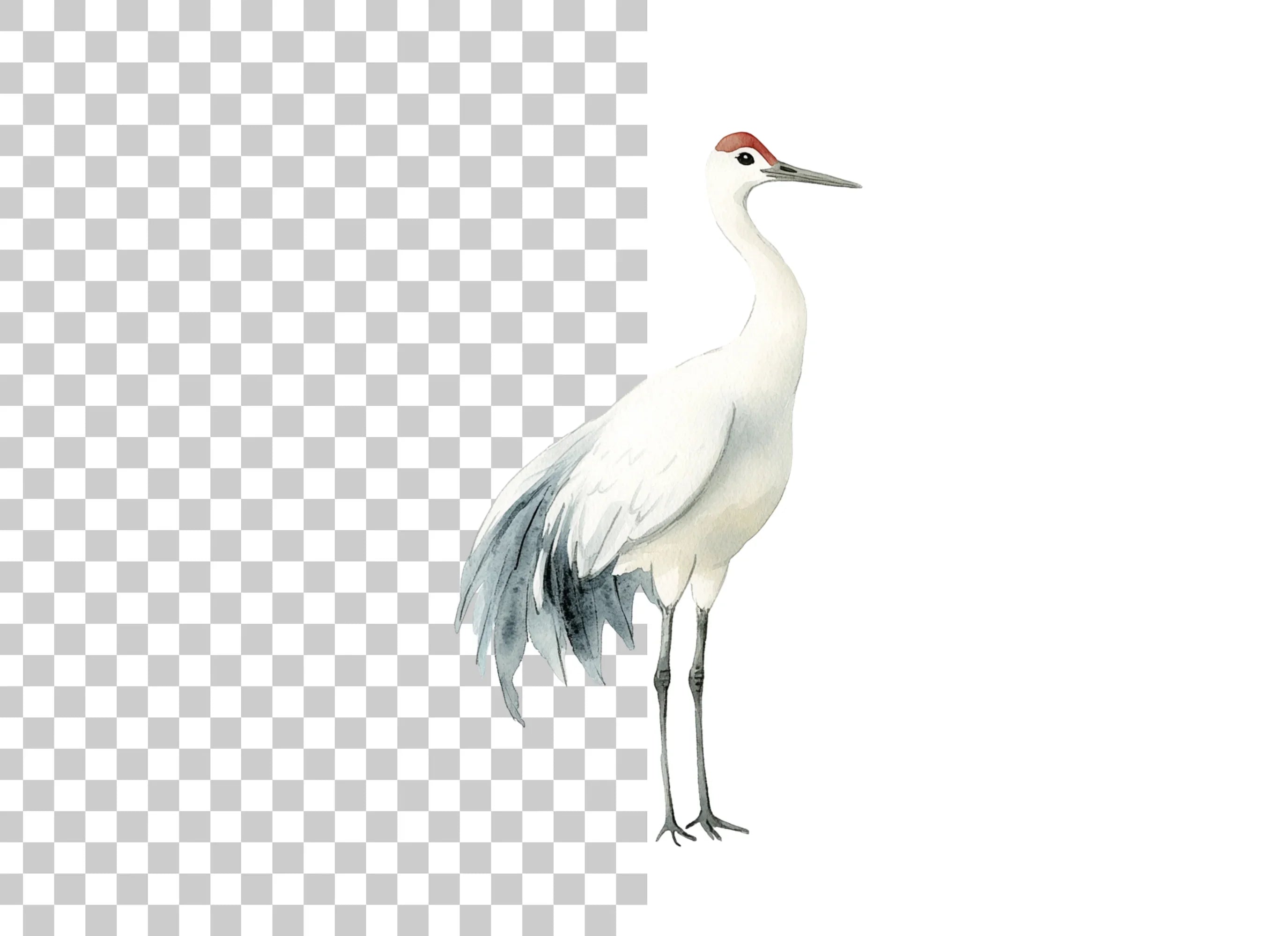 Elegant Japanese Crane Clipart Bundle