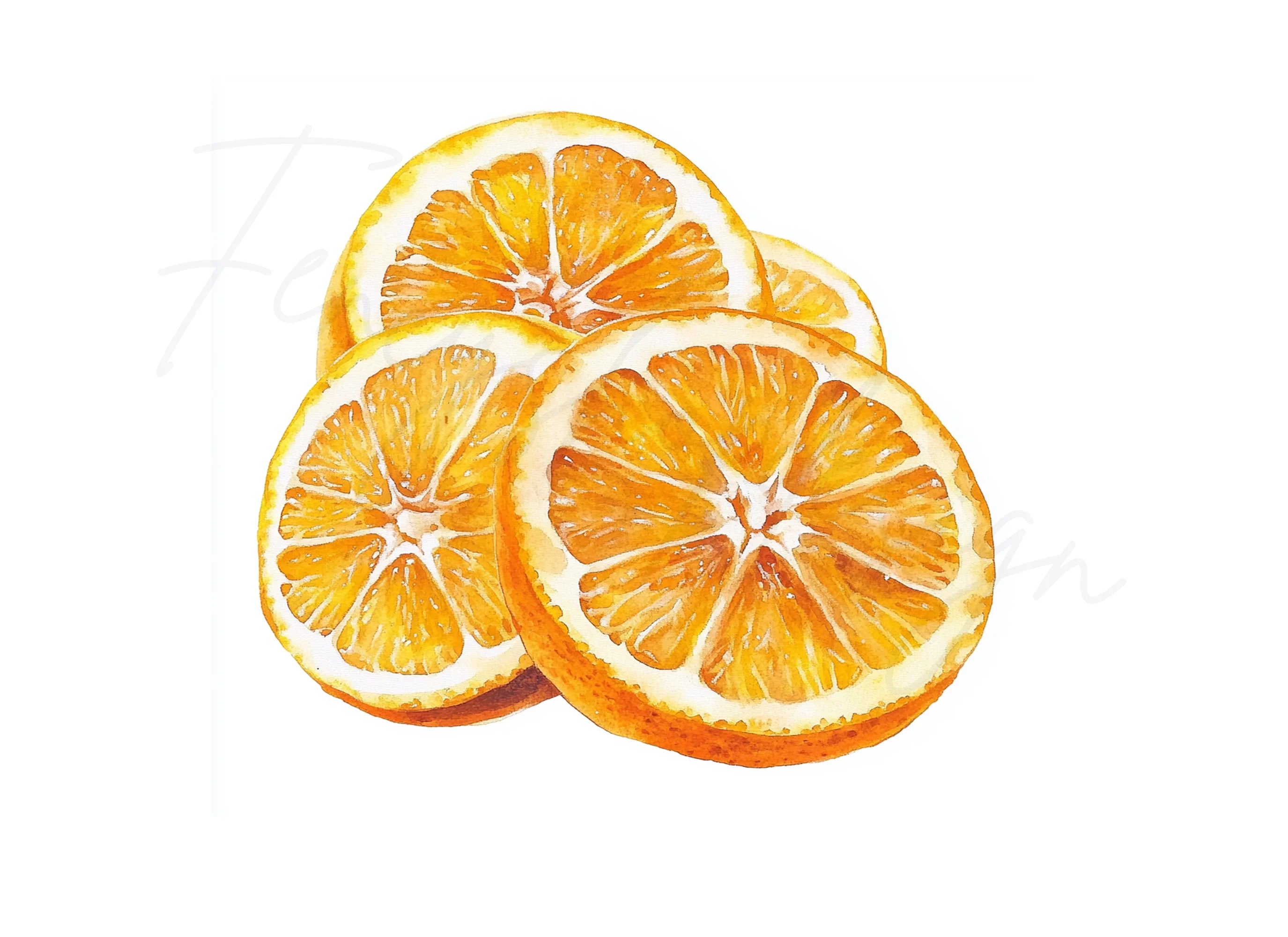 Fresh Orange Slices Clipart Bundle