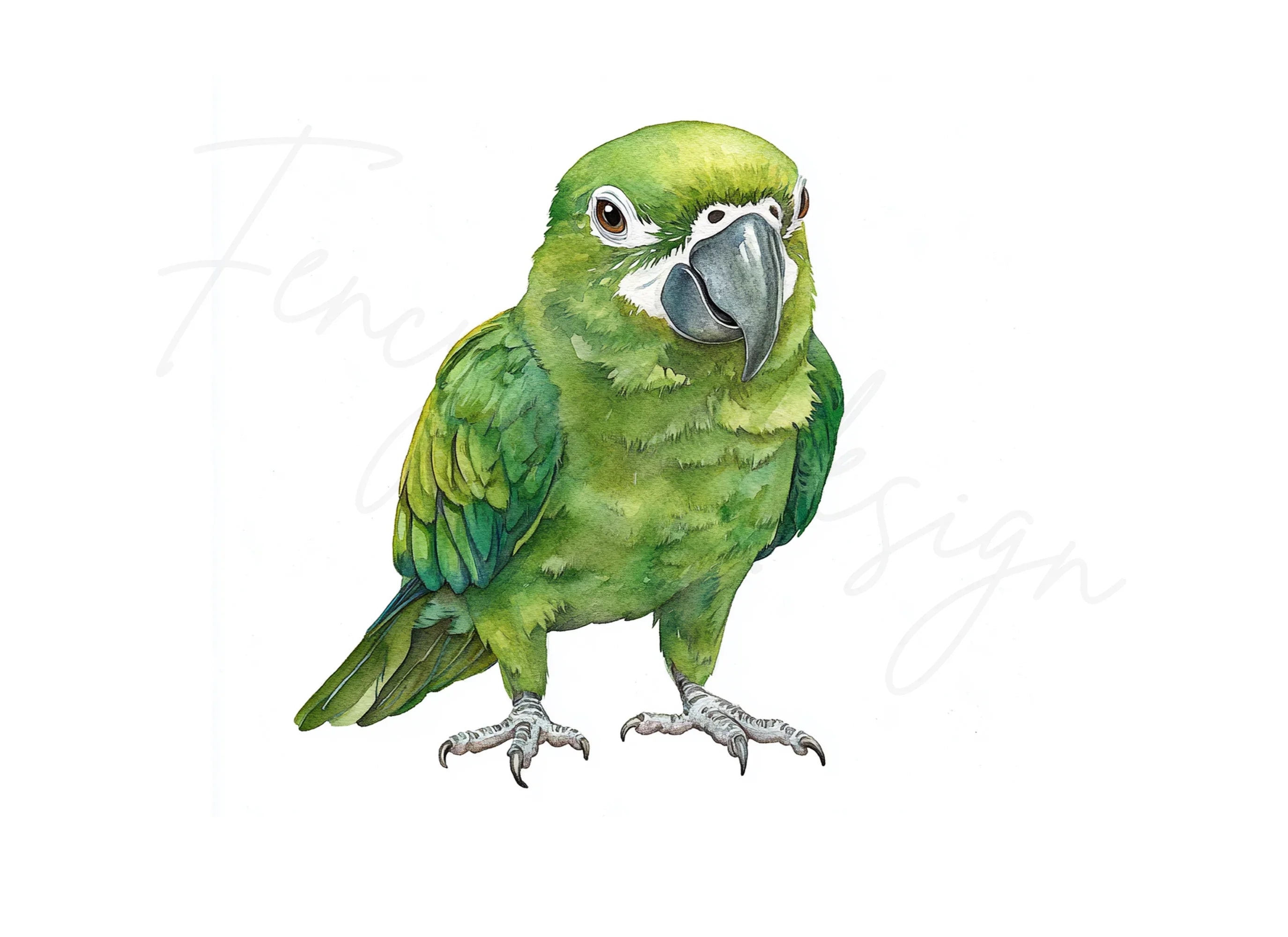 Green Parrot Clipart Bundle