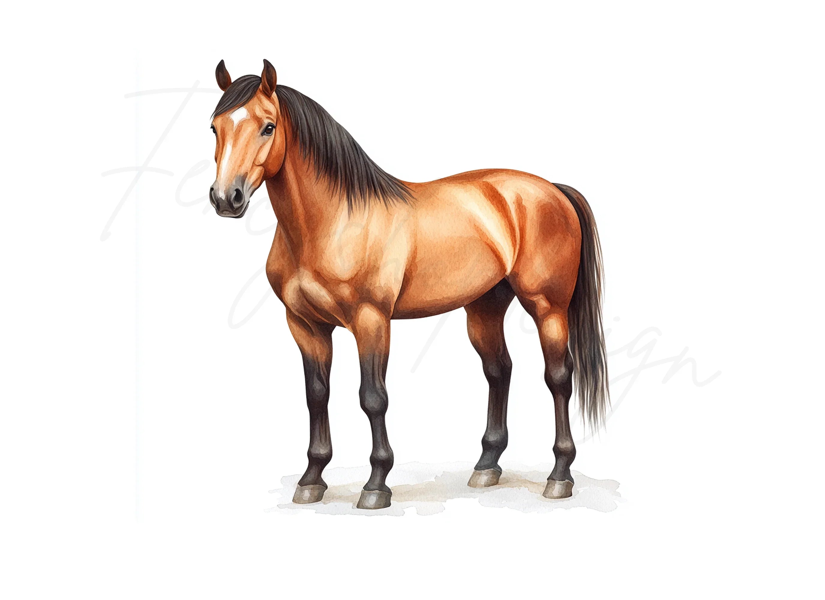 Realistic Brown Horse Clipart Bundle