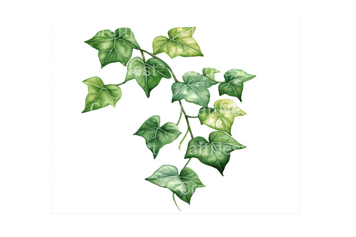 Lush Green Ivy Vine Elements Clipart Bundle