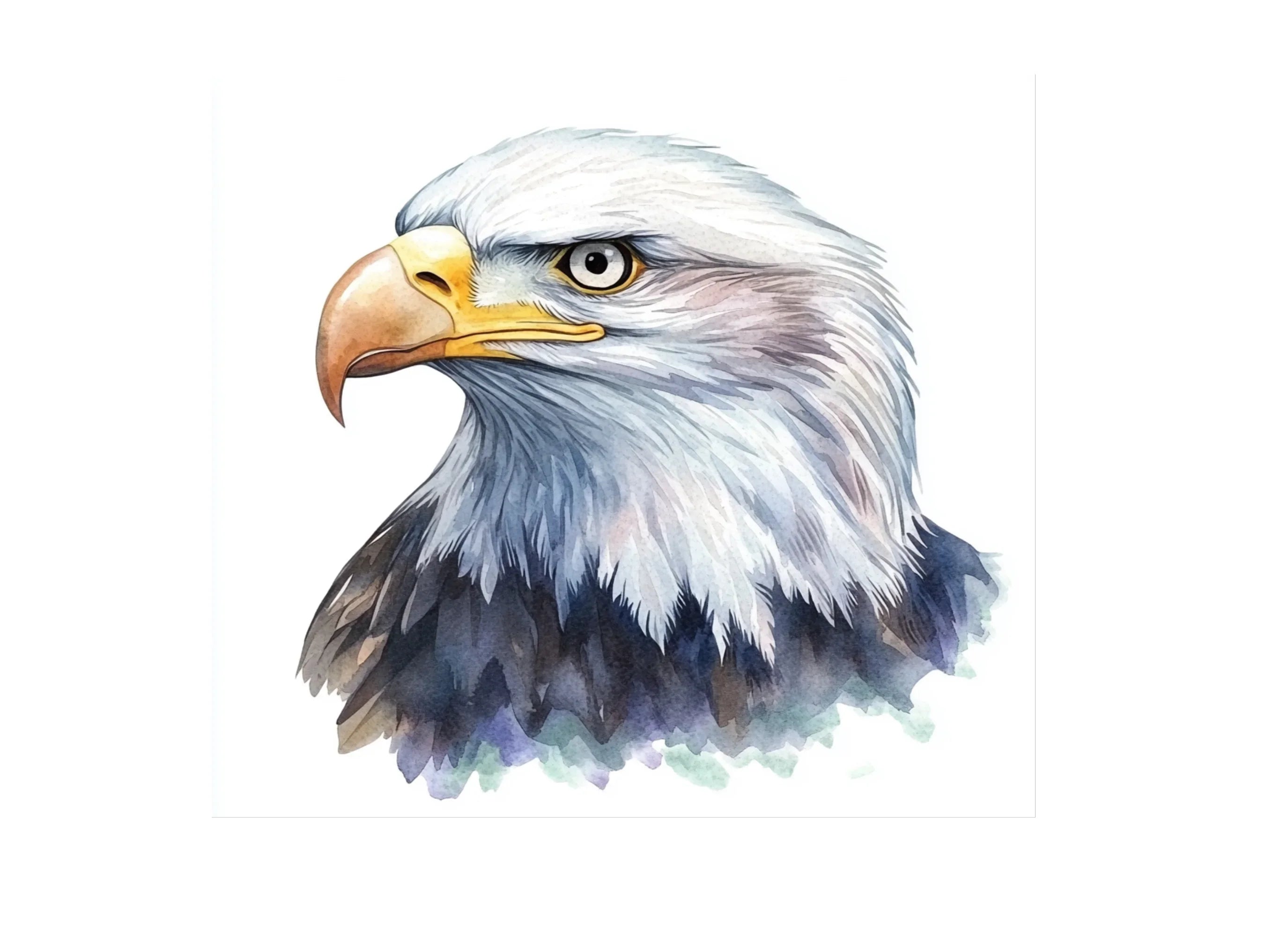 Majestic Eagle Head Clipart Bundle
