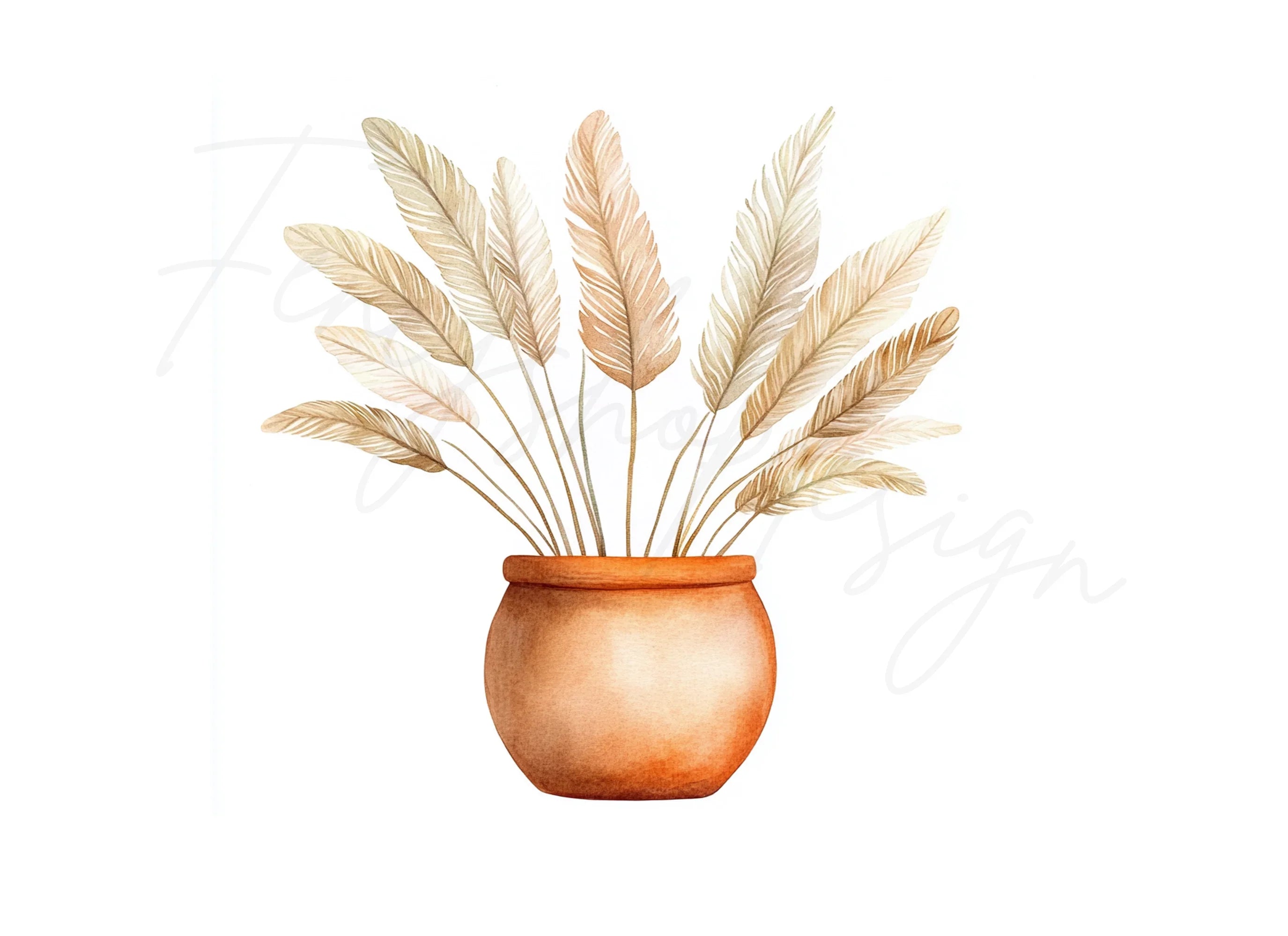 Pampas Grass in Terracotta Pots Clipart Bundle