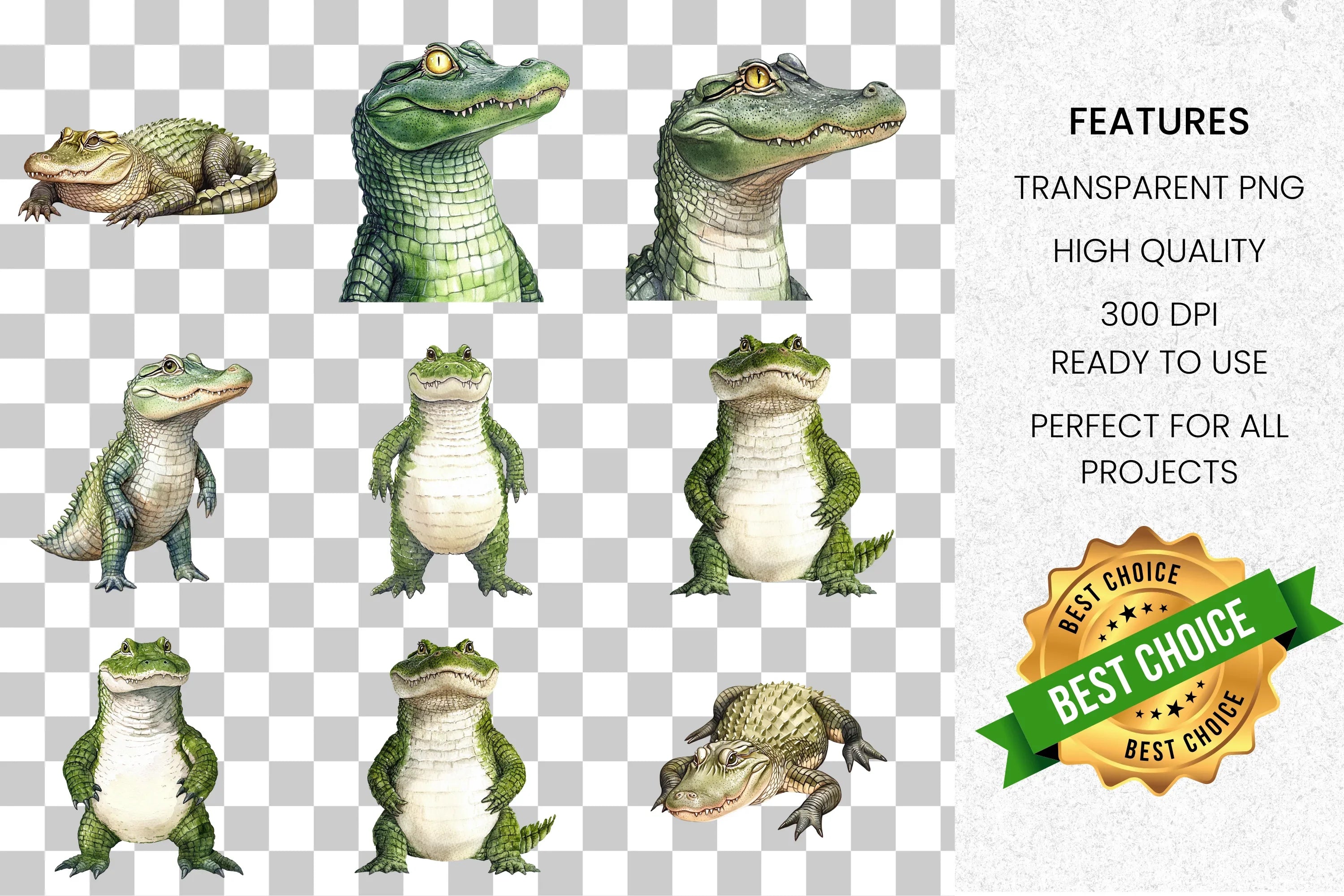 Cute Baby Alligator Clipart Bundle