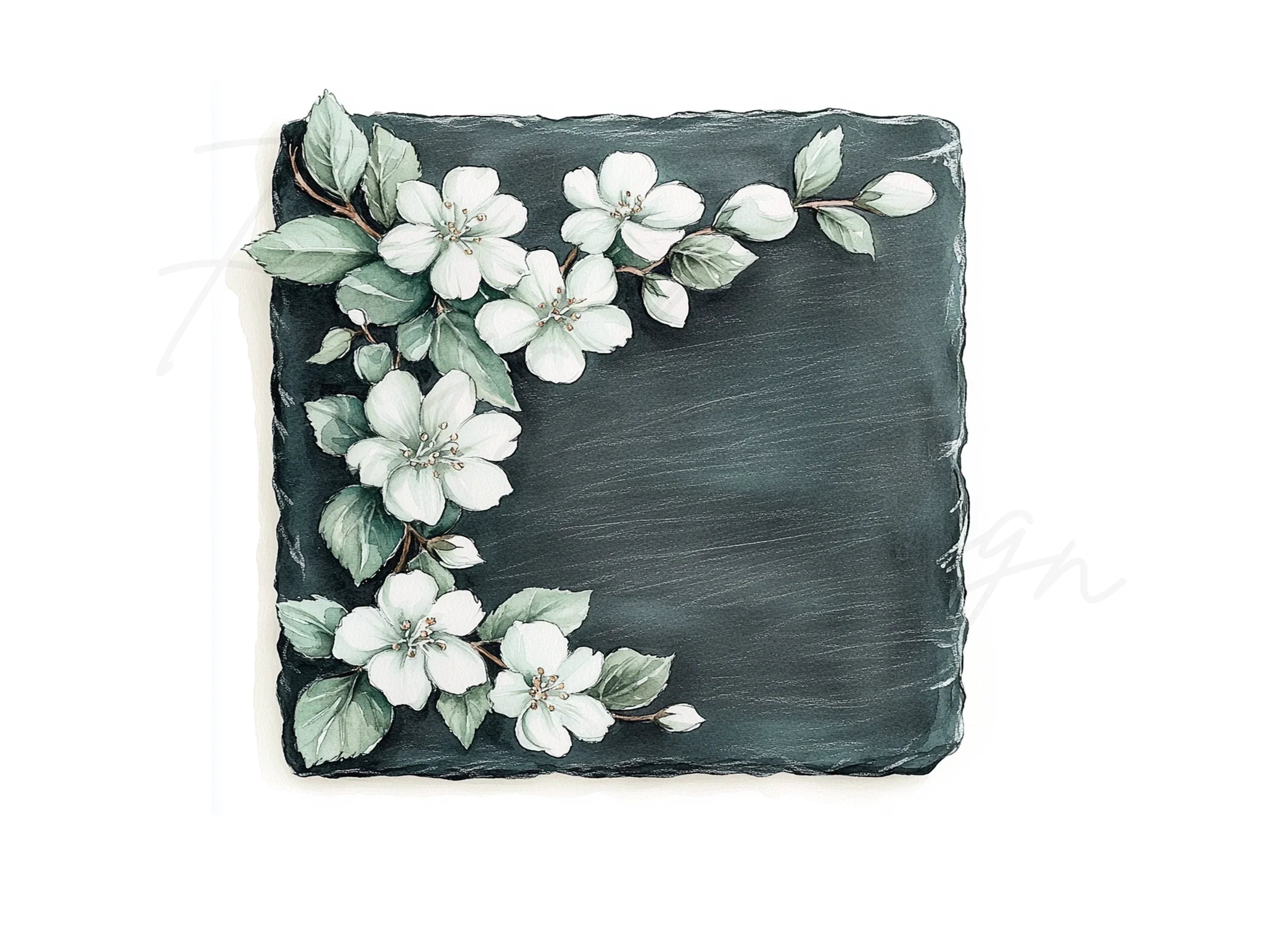 Elegant White Flowers on Slate Clipart Bundle