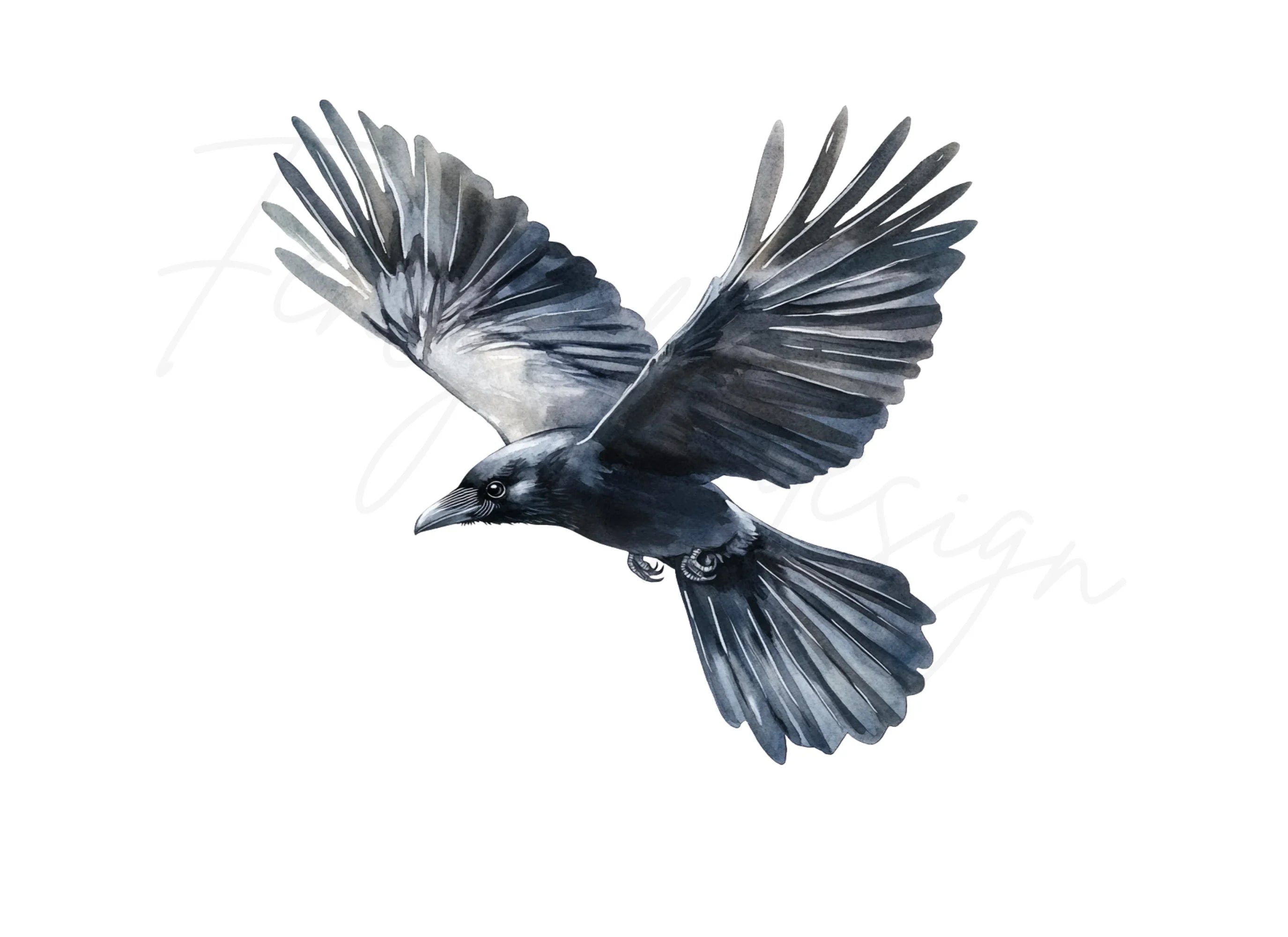 Flying Raven Clipart Bundle