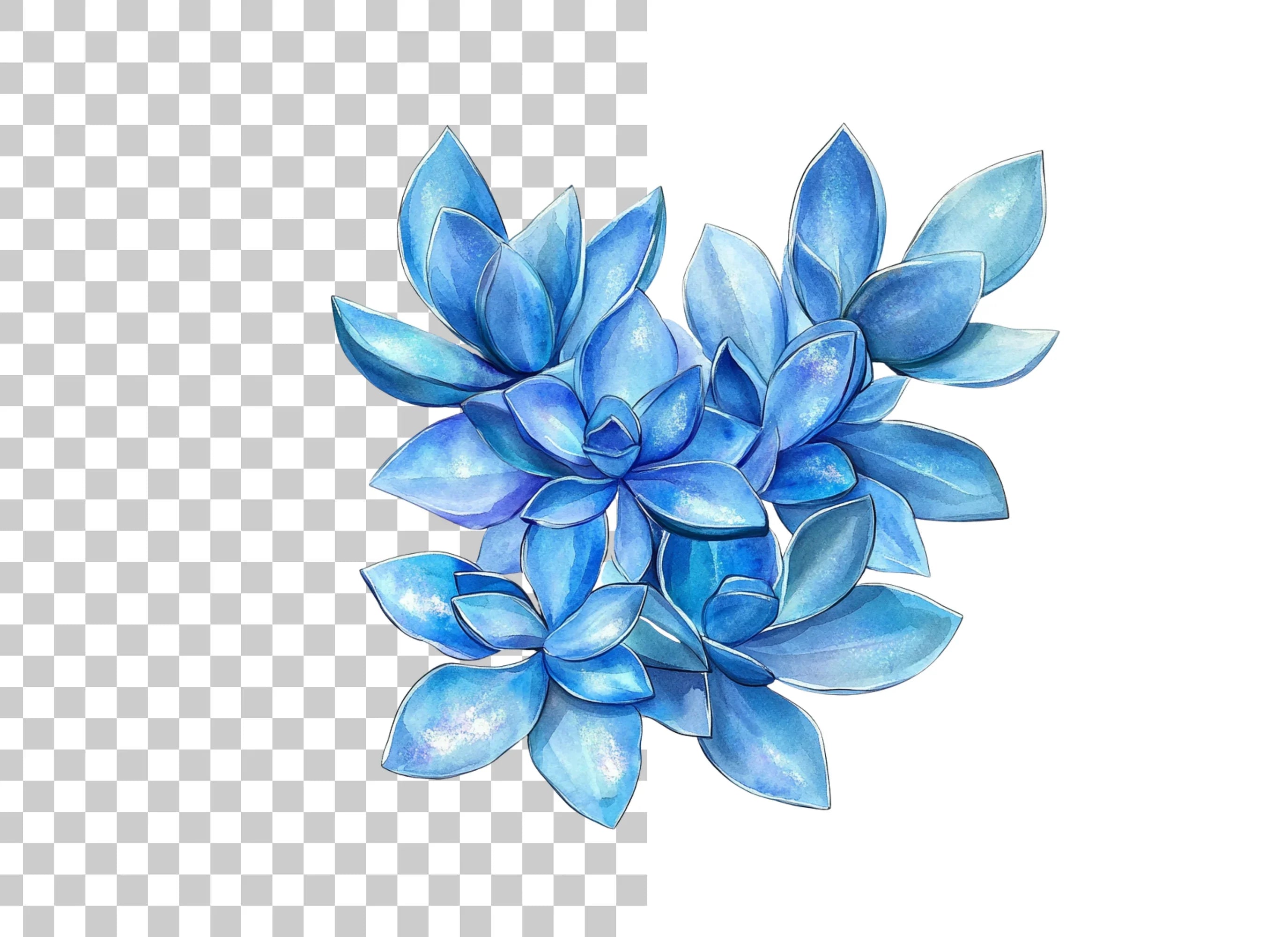 Blue Succulent and Leaf Clipart Bundle