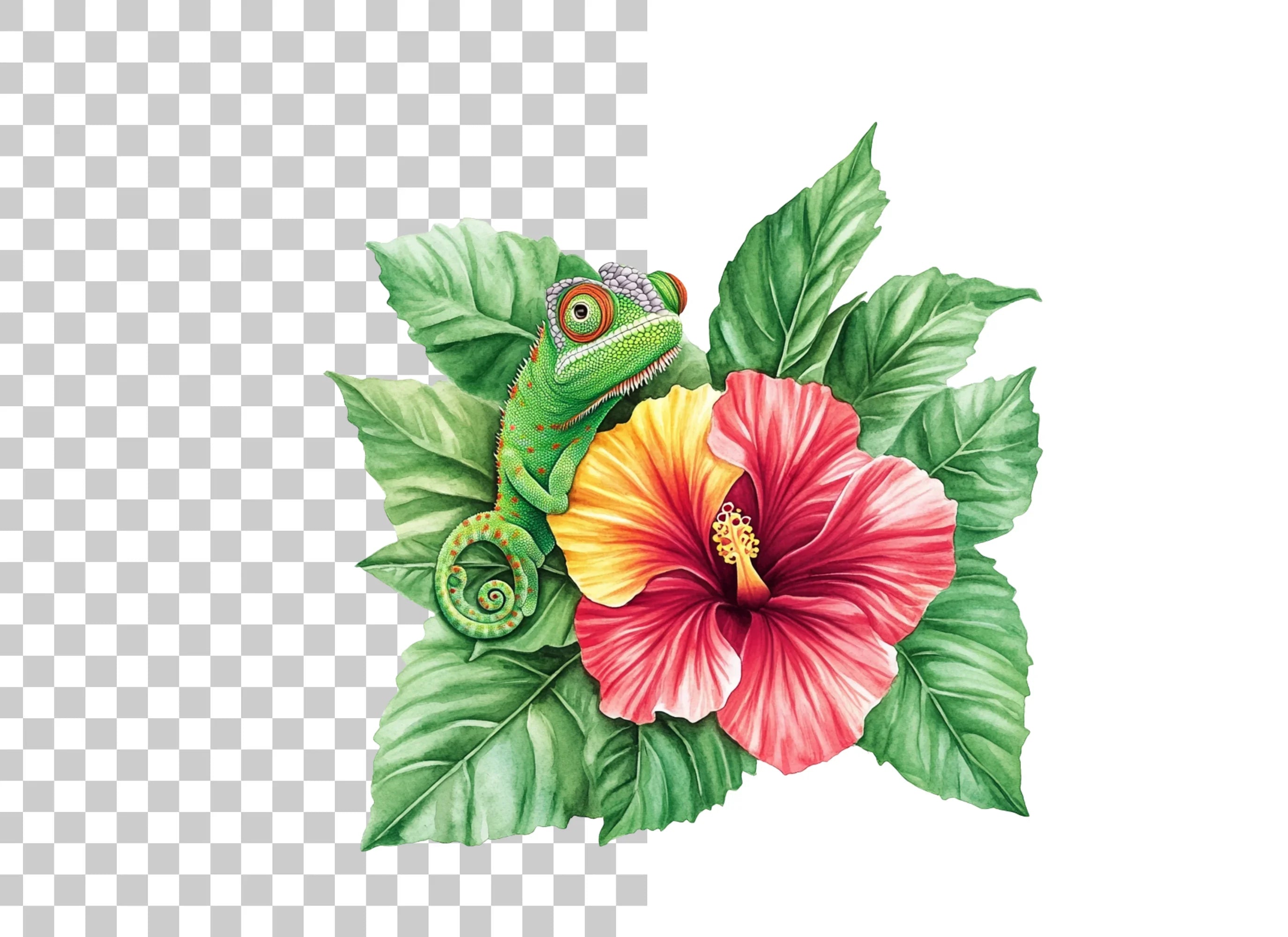 Cute Chameleon on Hibiscus Clipart Bundle