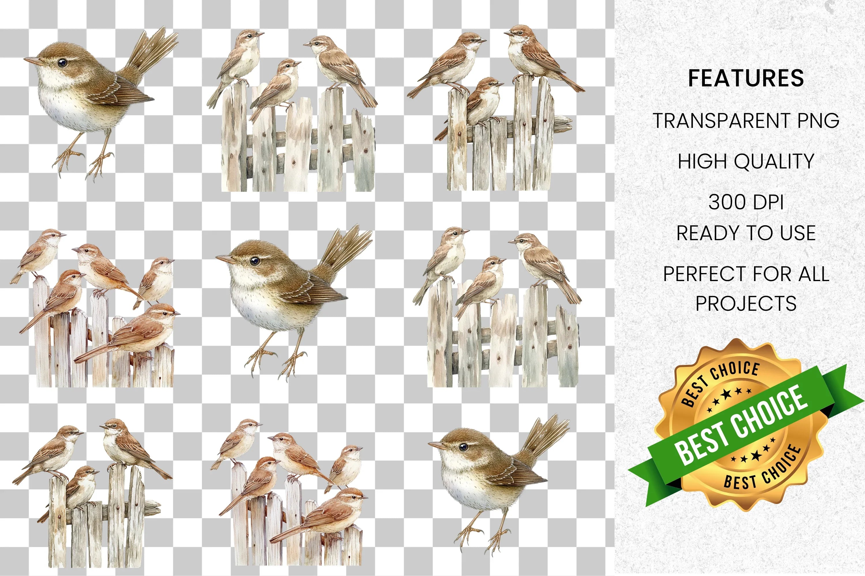 Sparrow Bird Clipart Bundle