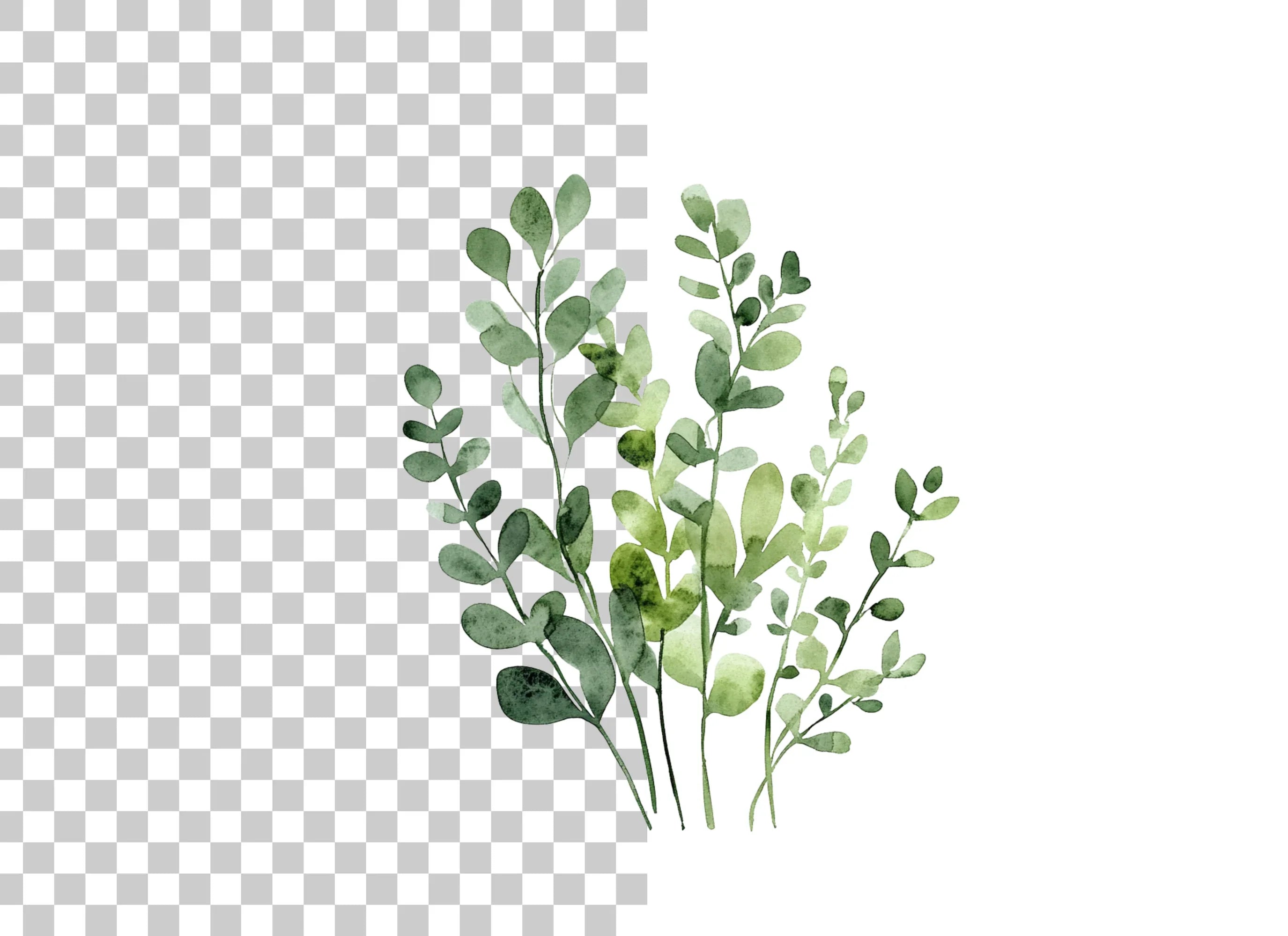 Lush Green Foliage Clipart Bundle
