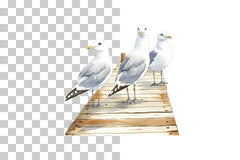 Seagulls on Coastal Pier Clipart Bundle - CraftNest - Digital Crafting and Art