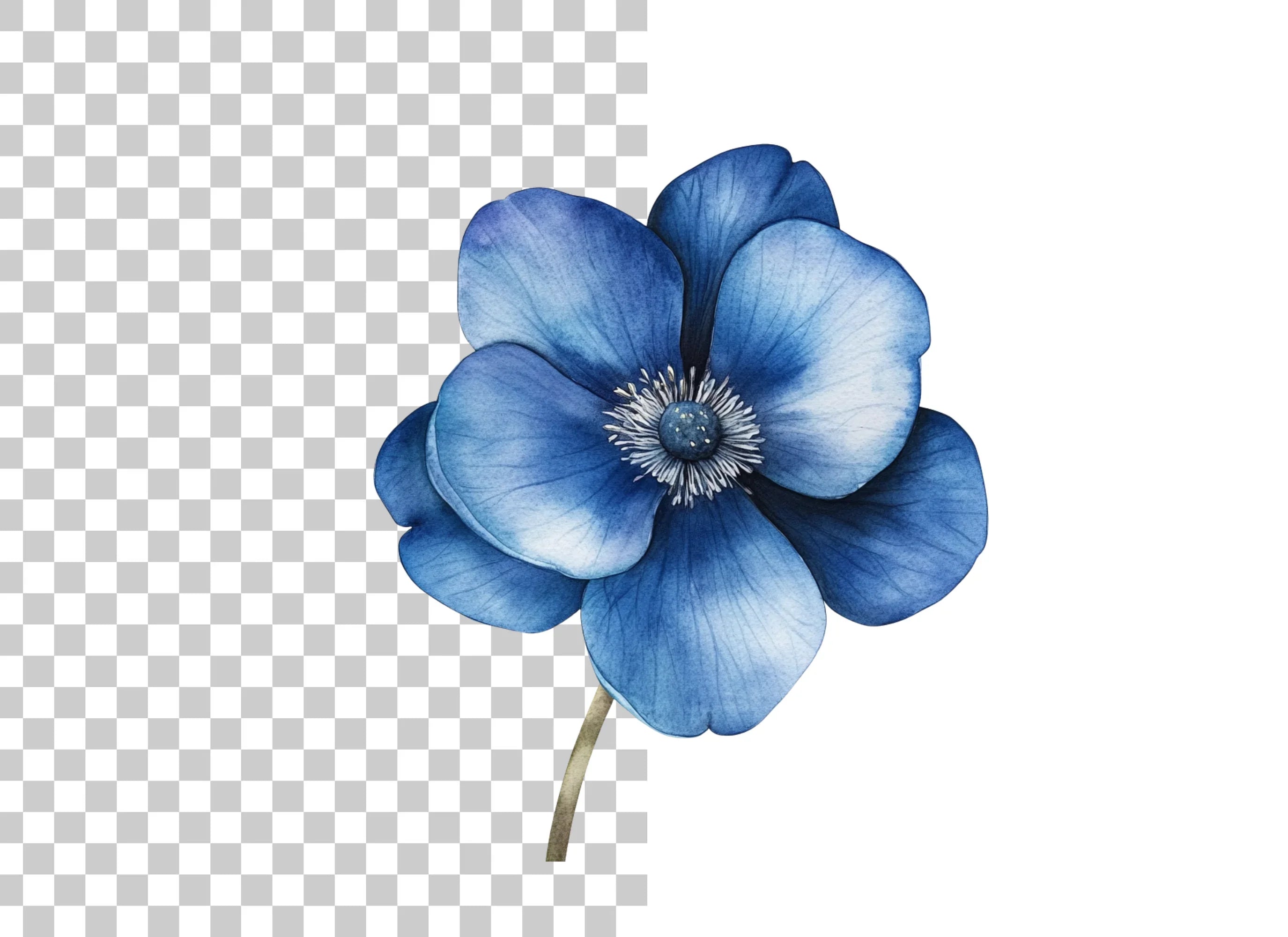 Vibrant Blue Anemone Flower Clipart Bundle