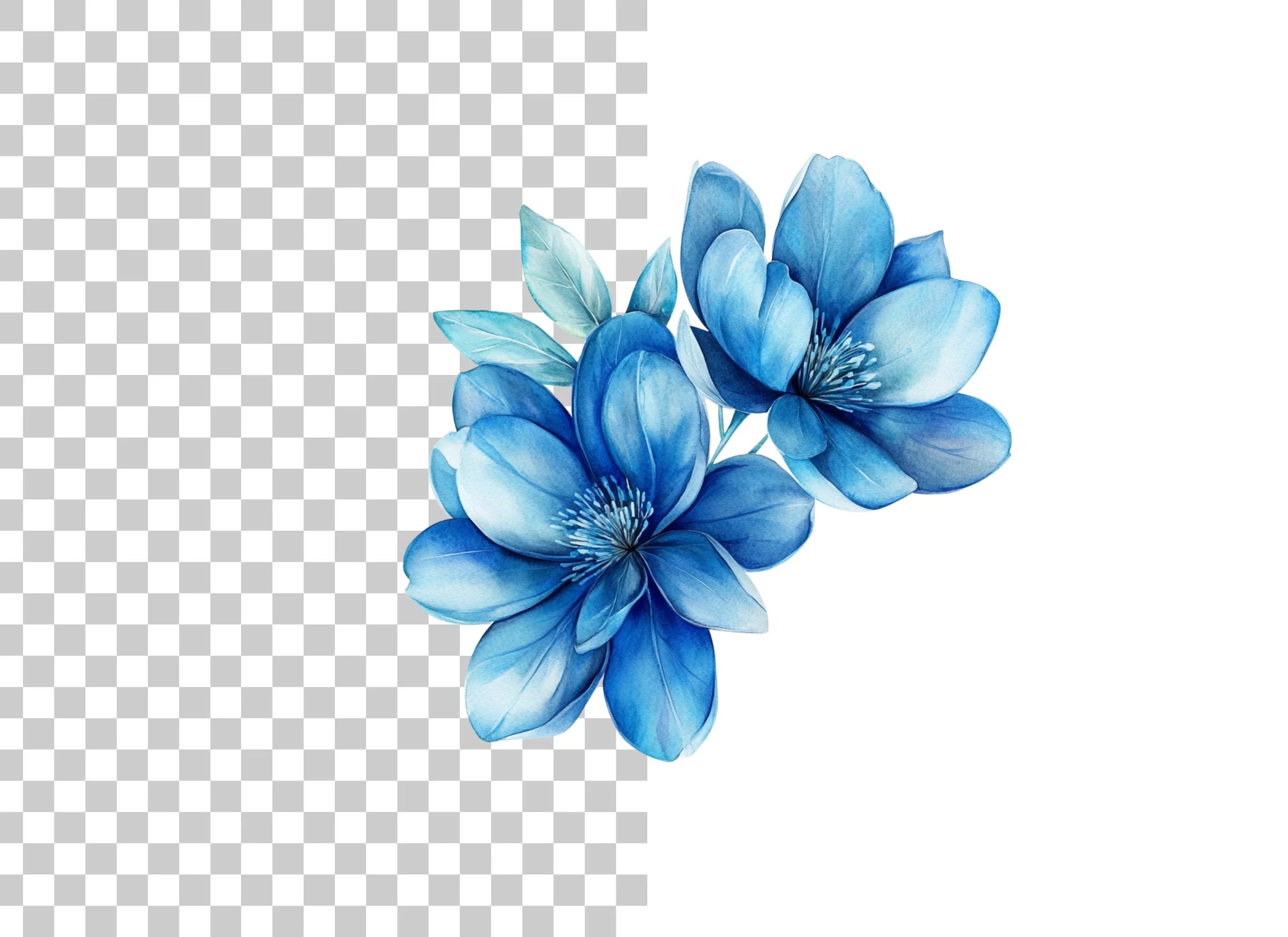 Blue Magnolia Flowers Clipart Bundle