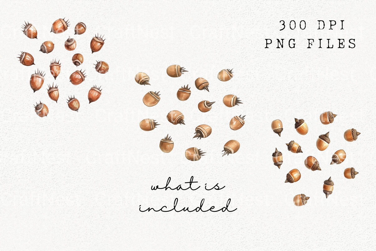 Acorn With Mixed Designs Clipart Bundle