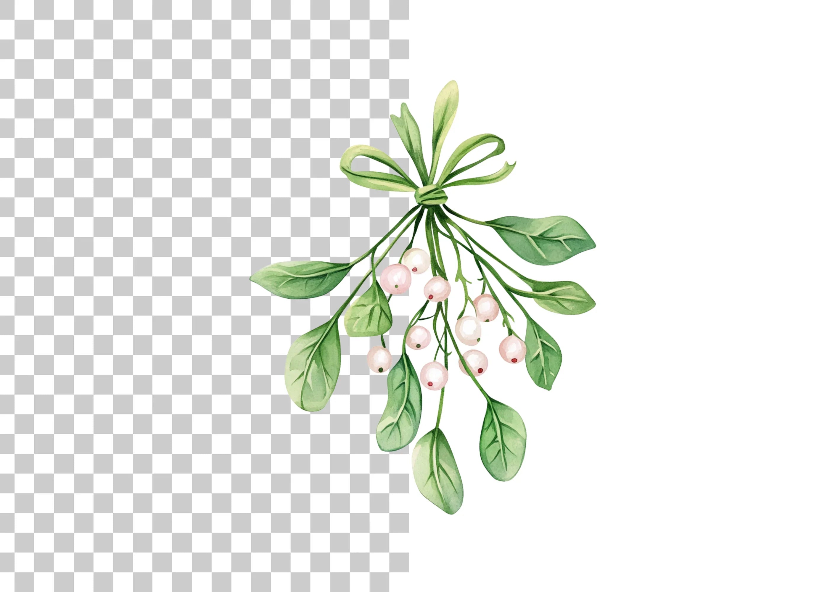 Mistletoe Clipart Bundle