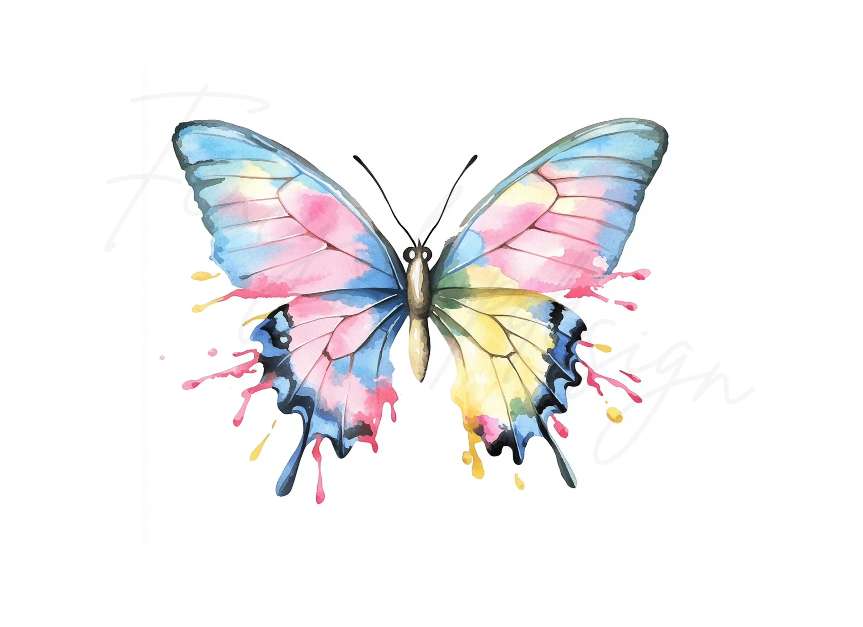 Butterfly Clipart Bundle