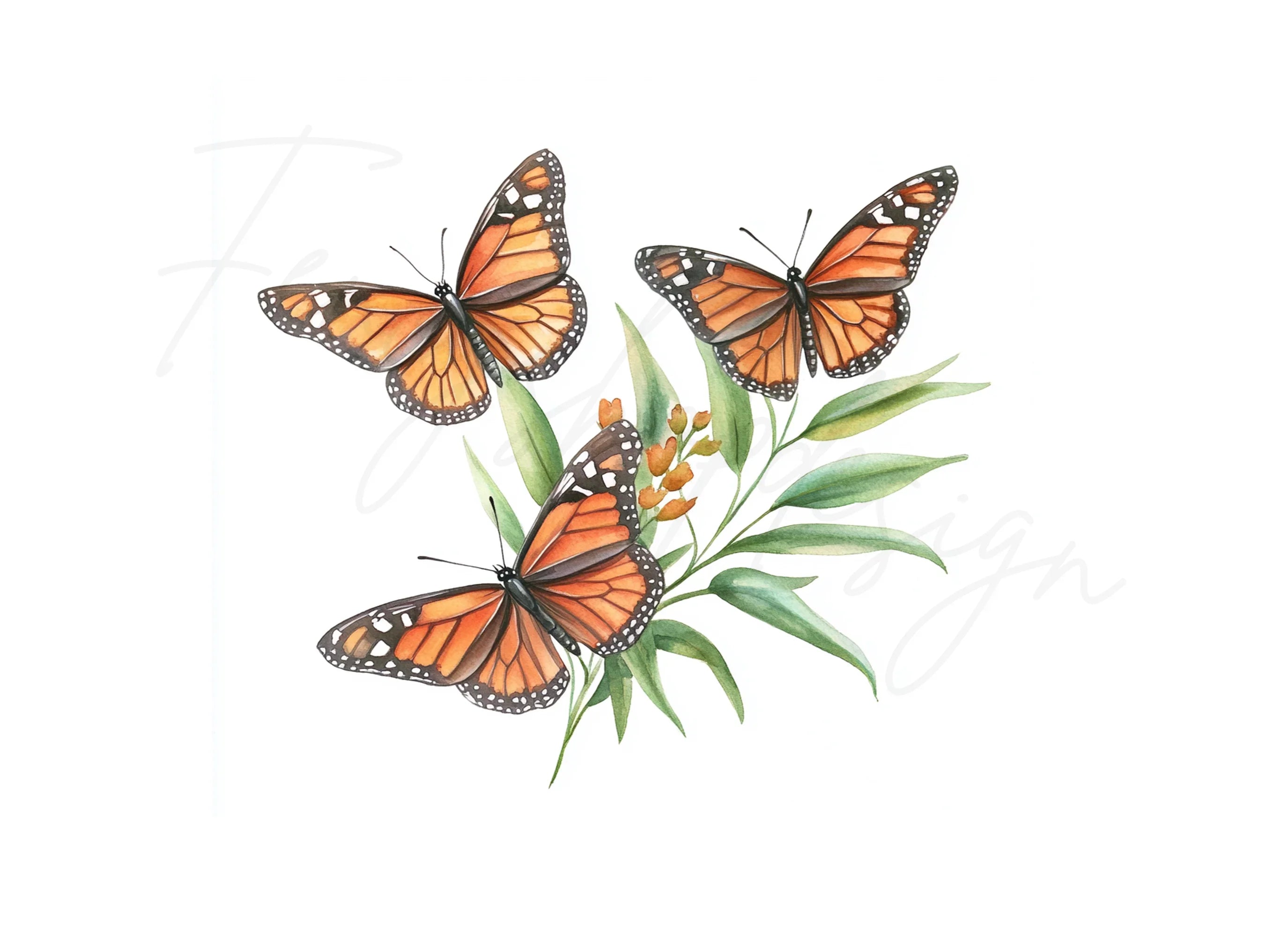 Monarch Butterflies and Flowers Clipart Bundle