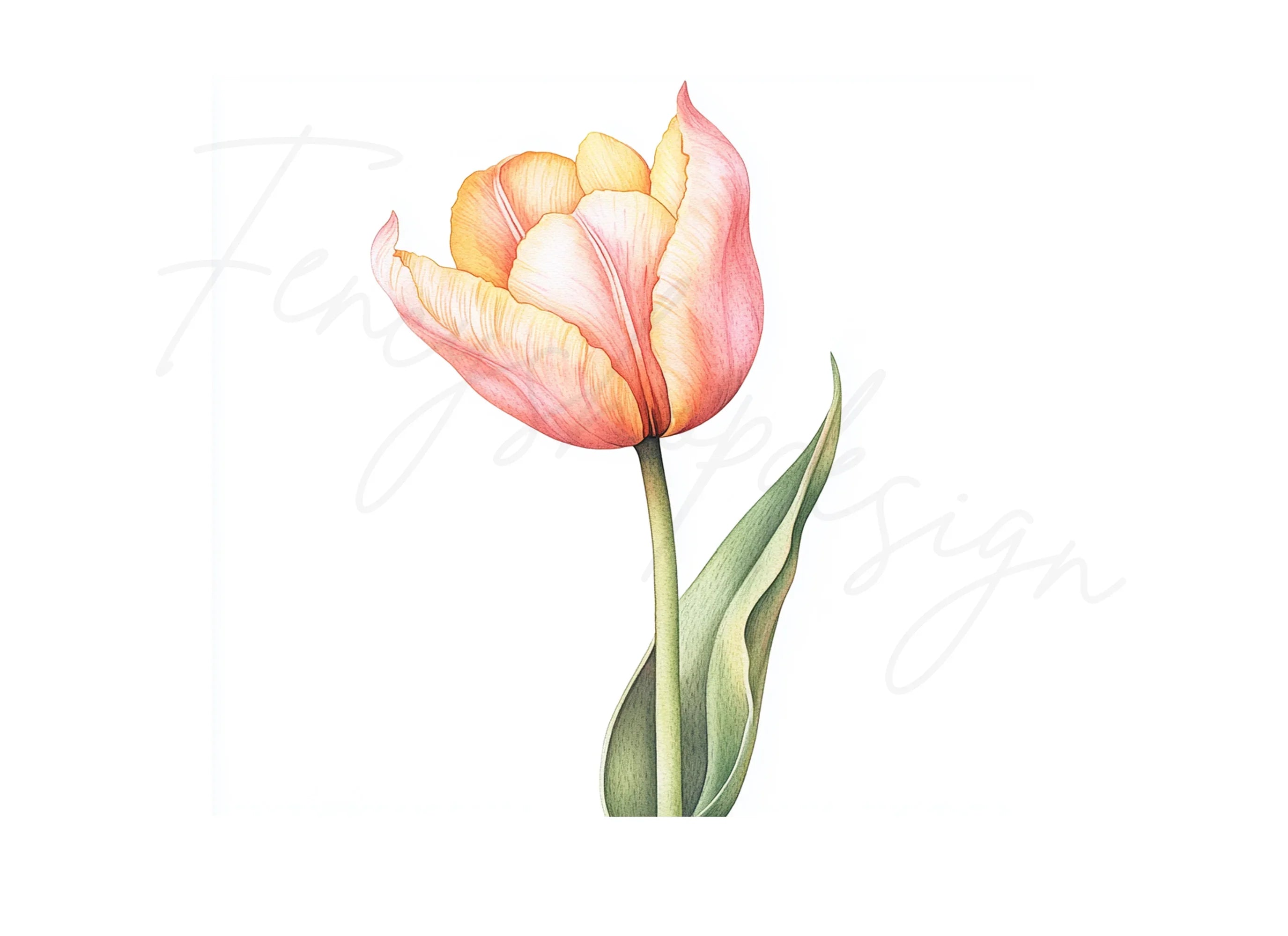 Pink and Yellow Tulip Clipart Bundle