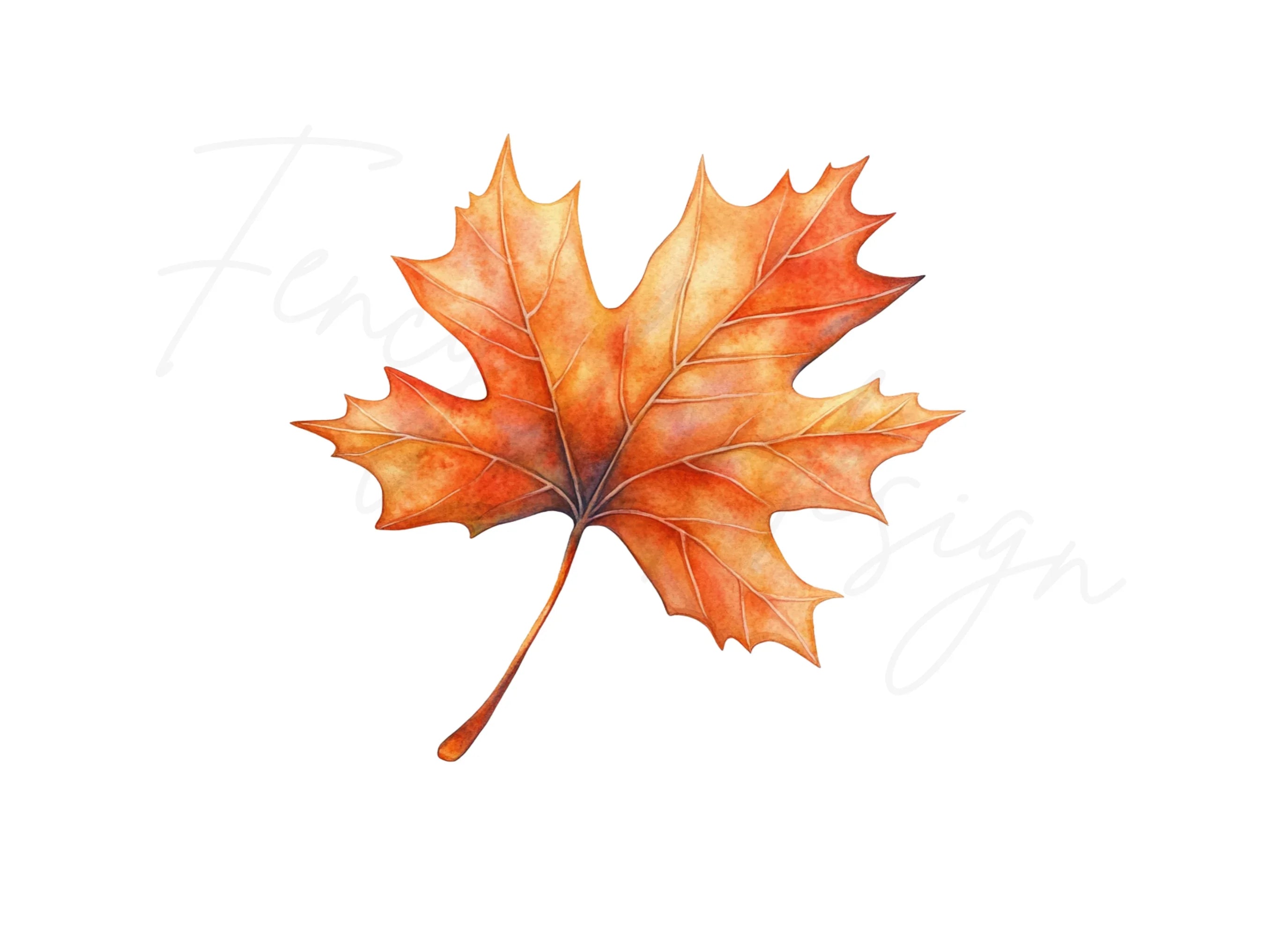 Autumn Maple Leaves Clipart Bundle
