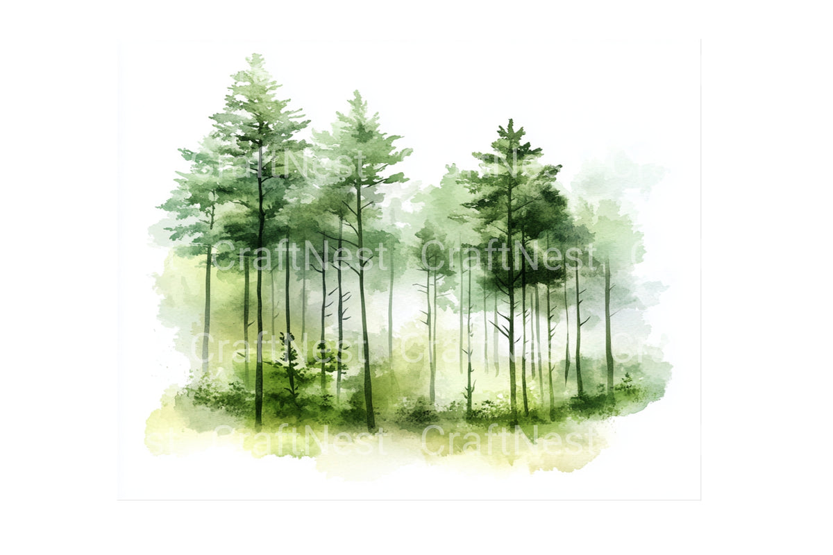 Misty Pine Forest Clipart Bundle