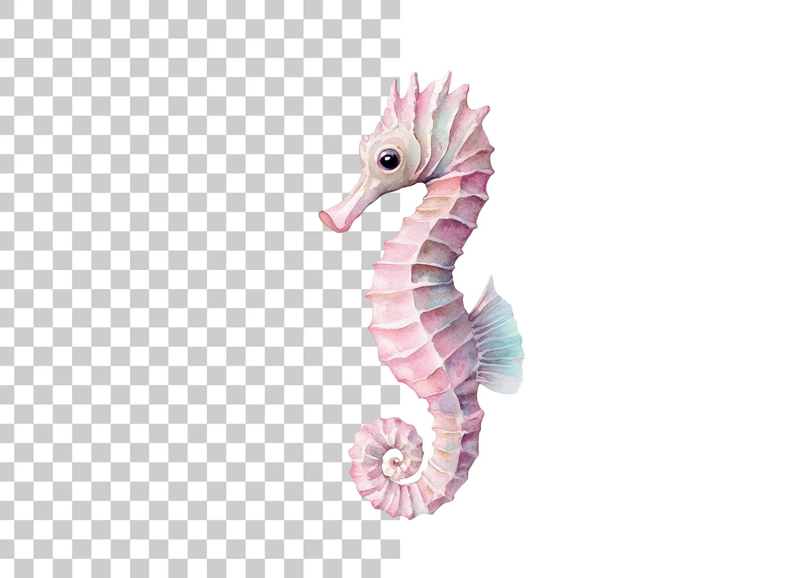 Pastel Seahorse Clipart Bundle