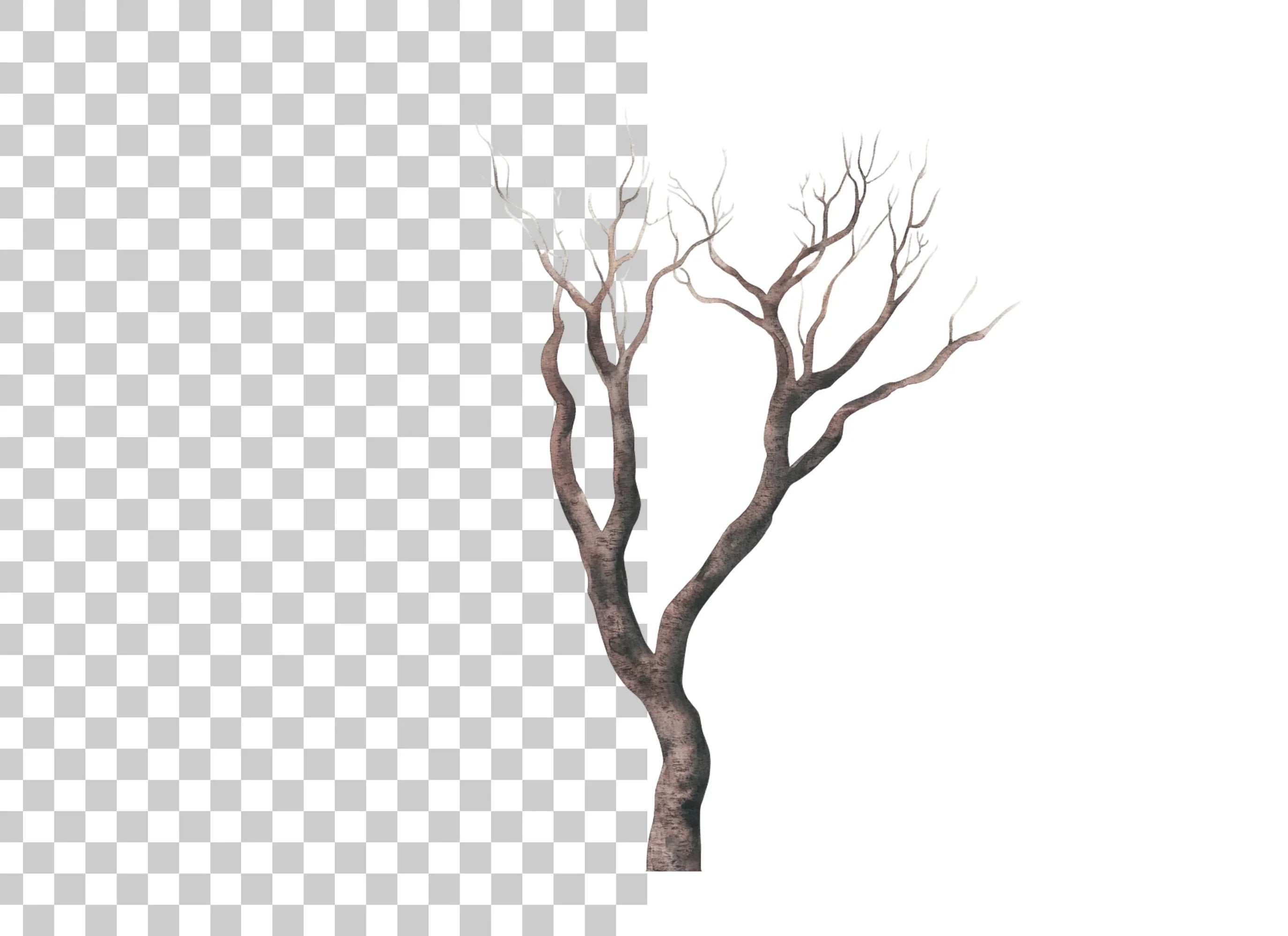 Bare Tree Branches Clipart Bundle