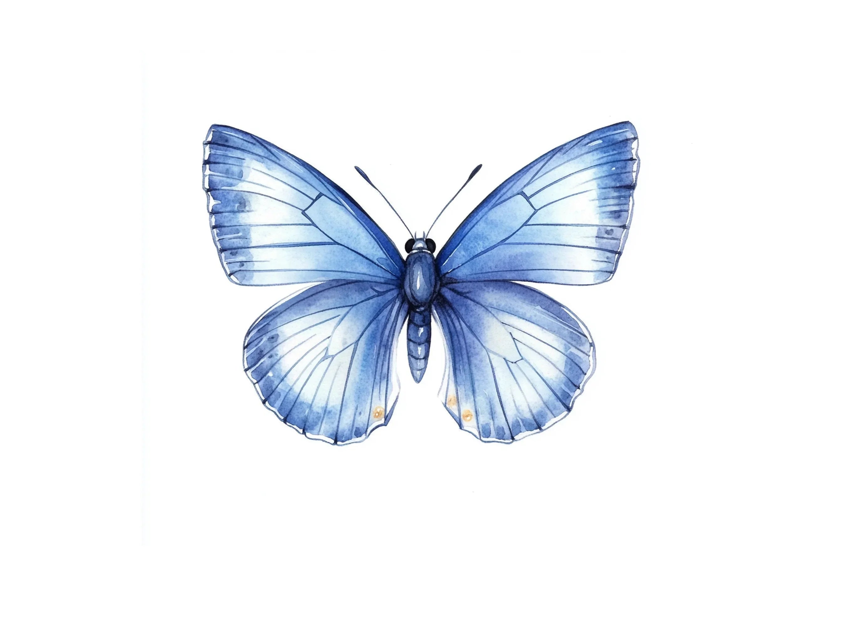 Blue Butterfly Clipart Bundle