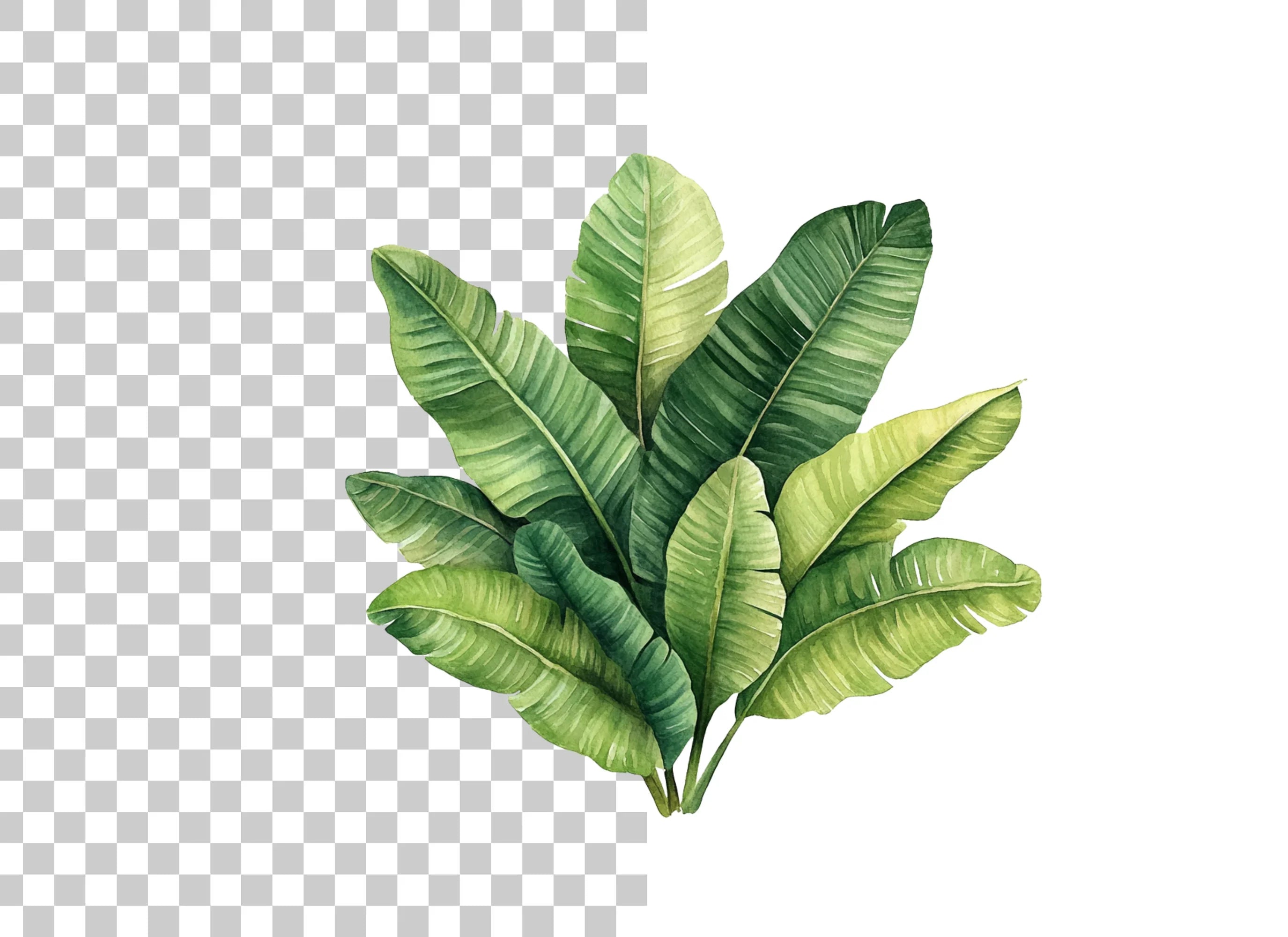 Tropical Leaf Clipart Bundle