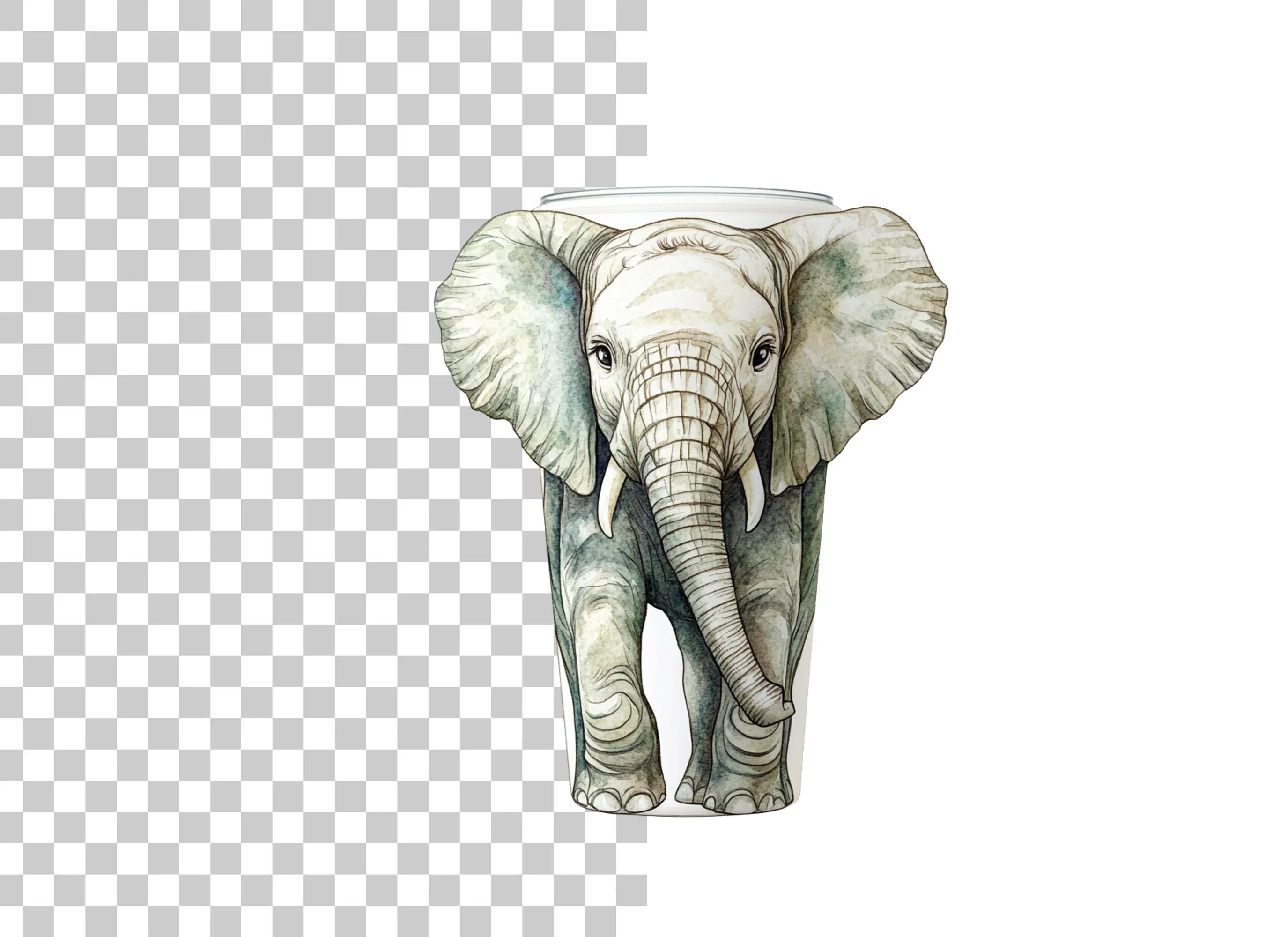 Baby Elephant Tumbler Clipart Bundle