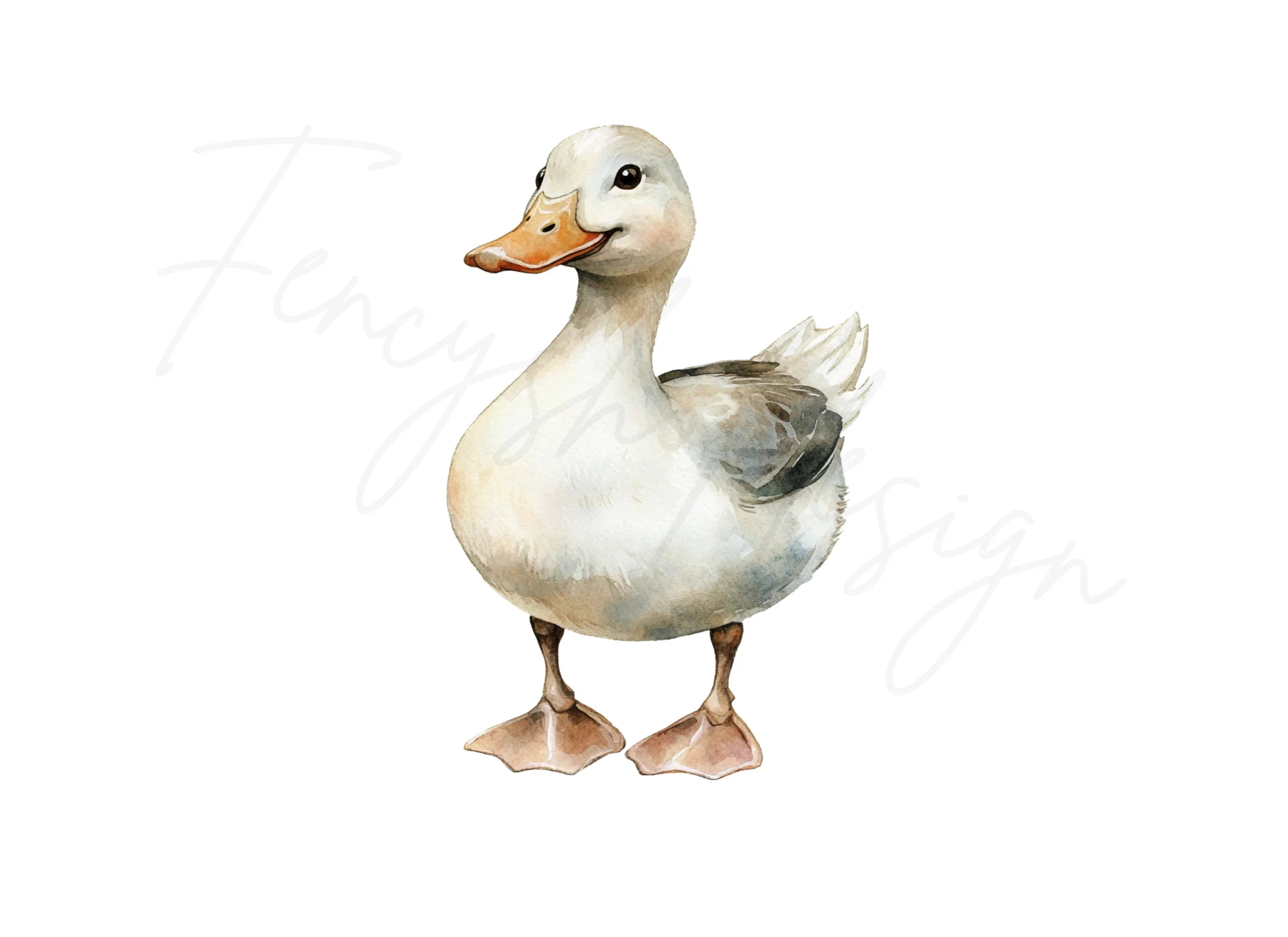 Ducks and Geese Clipart Bundle