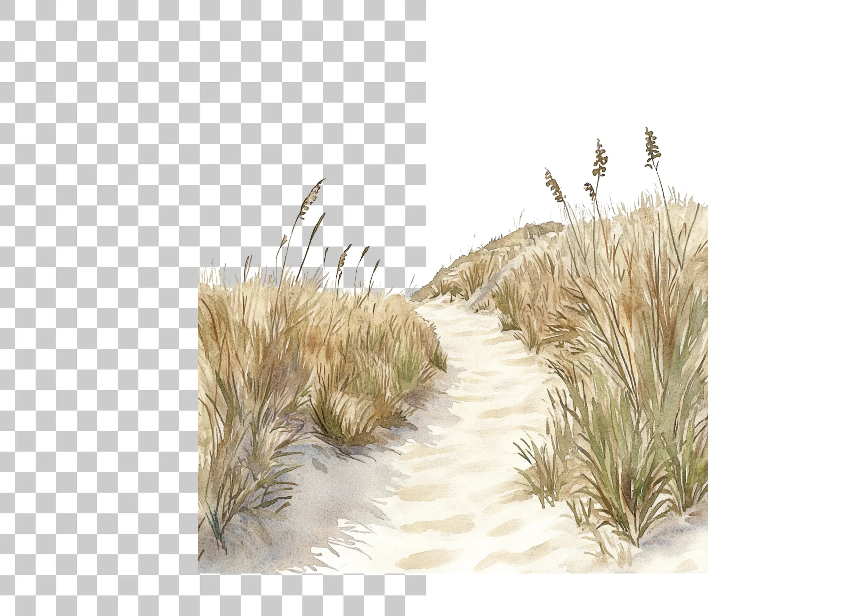 Beach Dunes Path Clipart Bundle