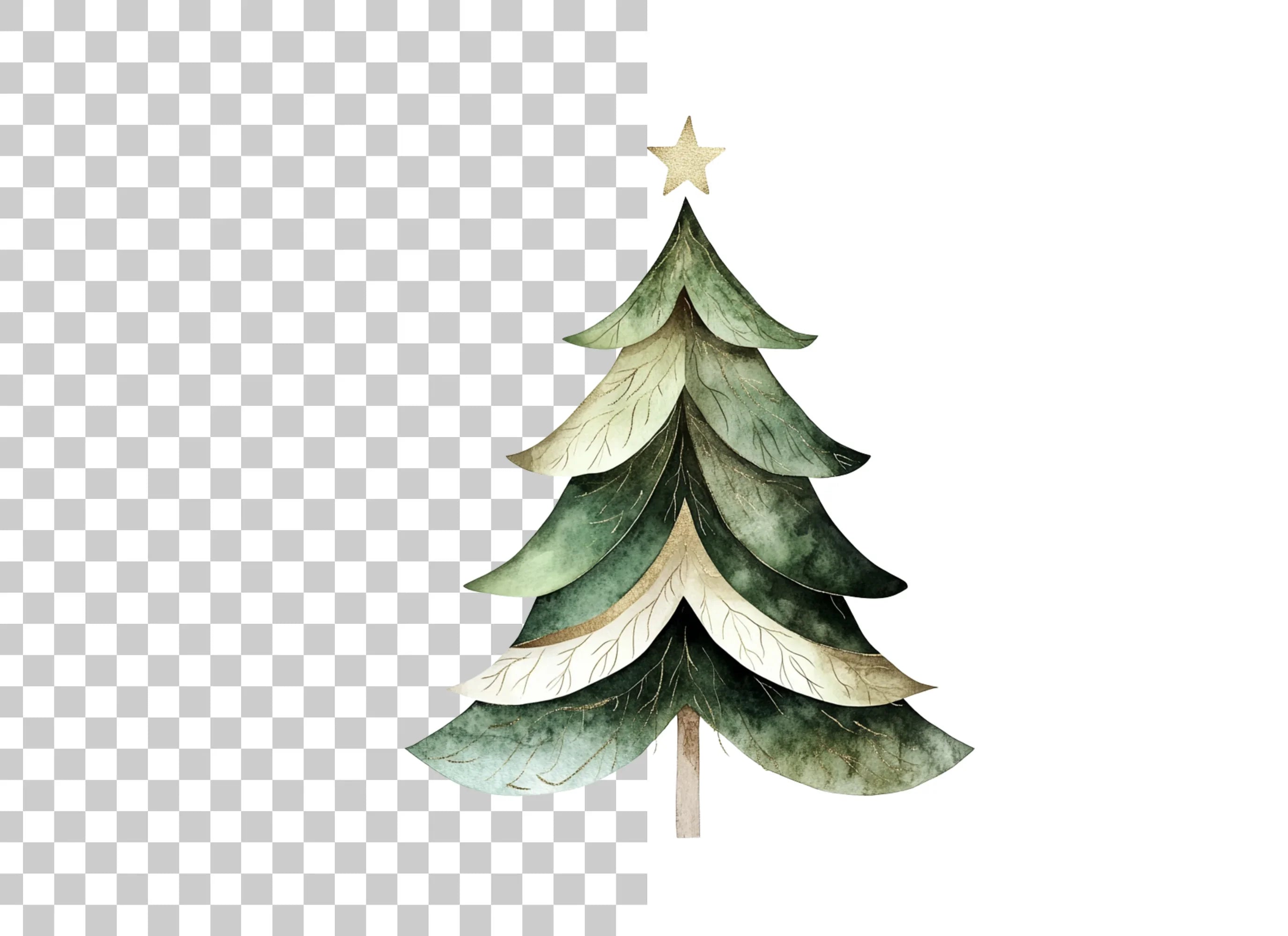 Elegant Pine Tree Illustrations Clipart Bundle