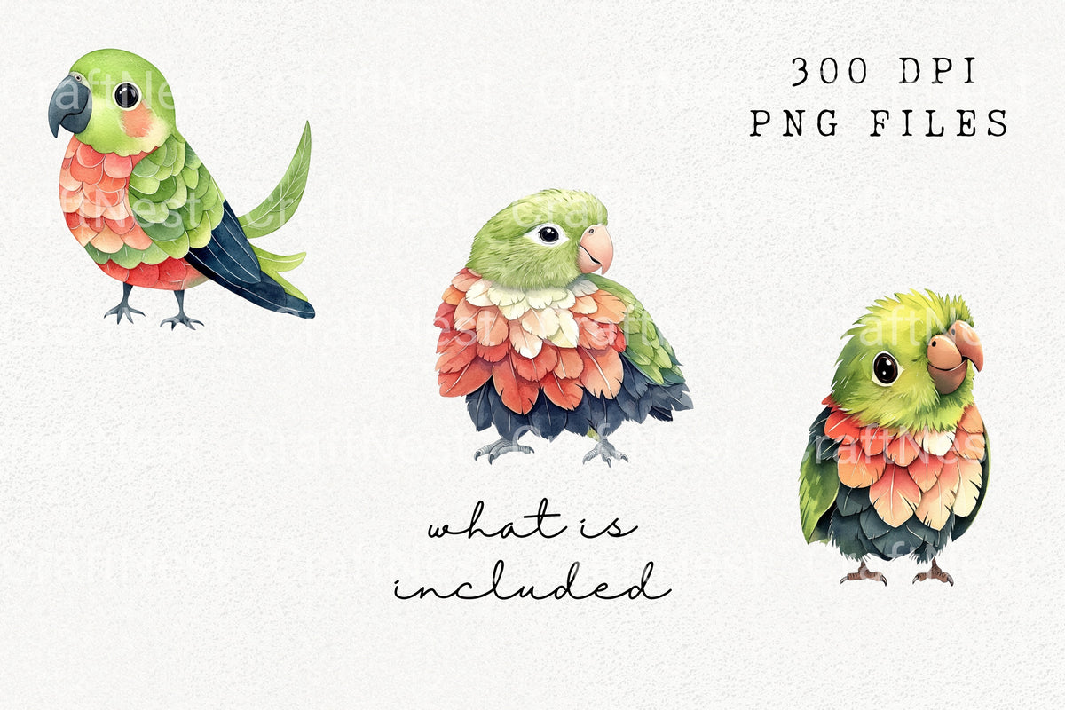 Adorable Baby Parrot Clipart Bundle