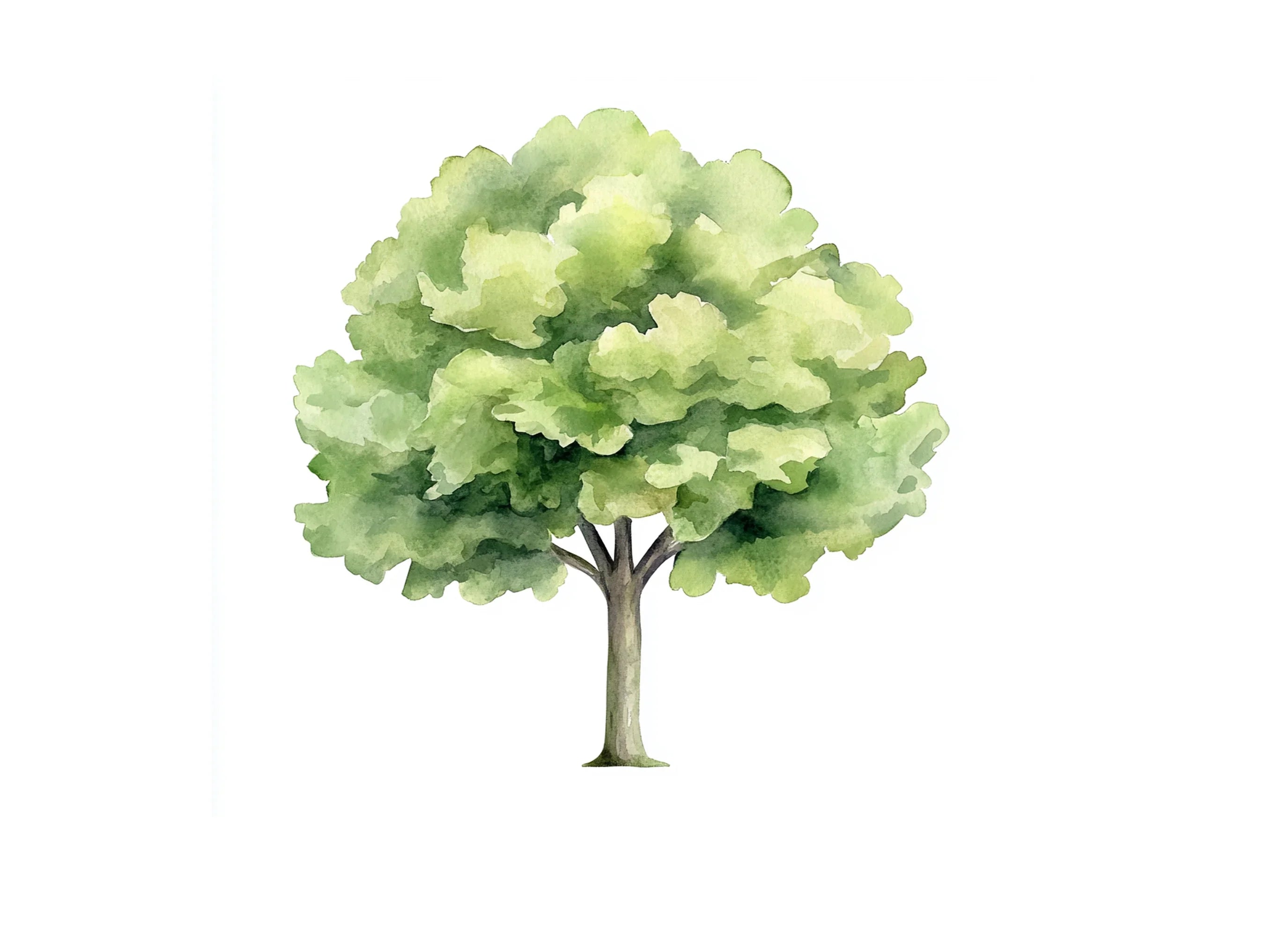 Green Tree Clipart Bundle