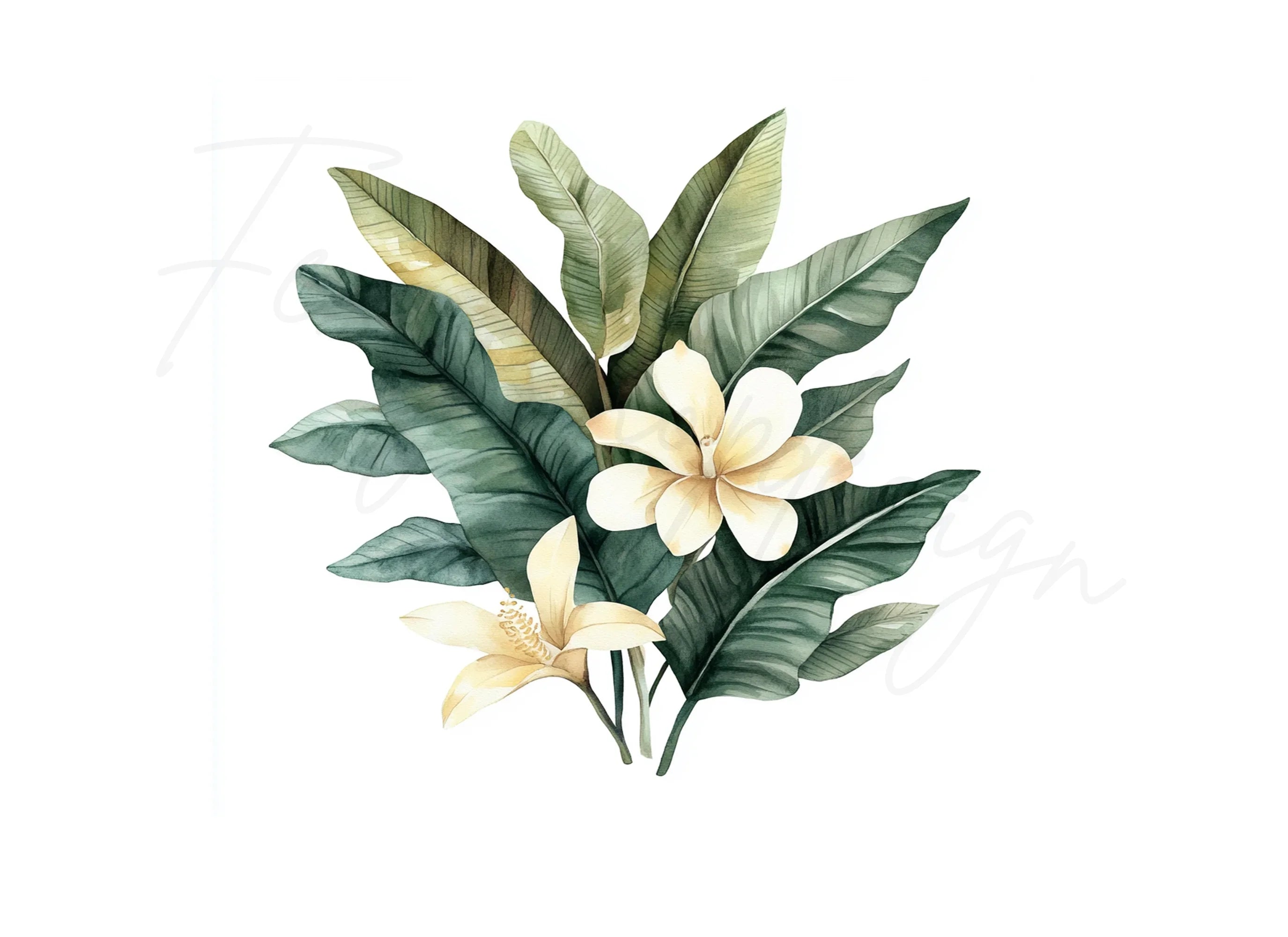 Tropical Leaves Clipart Bundle