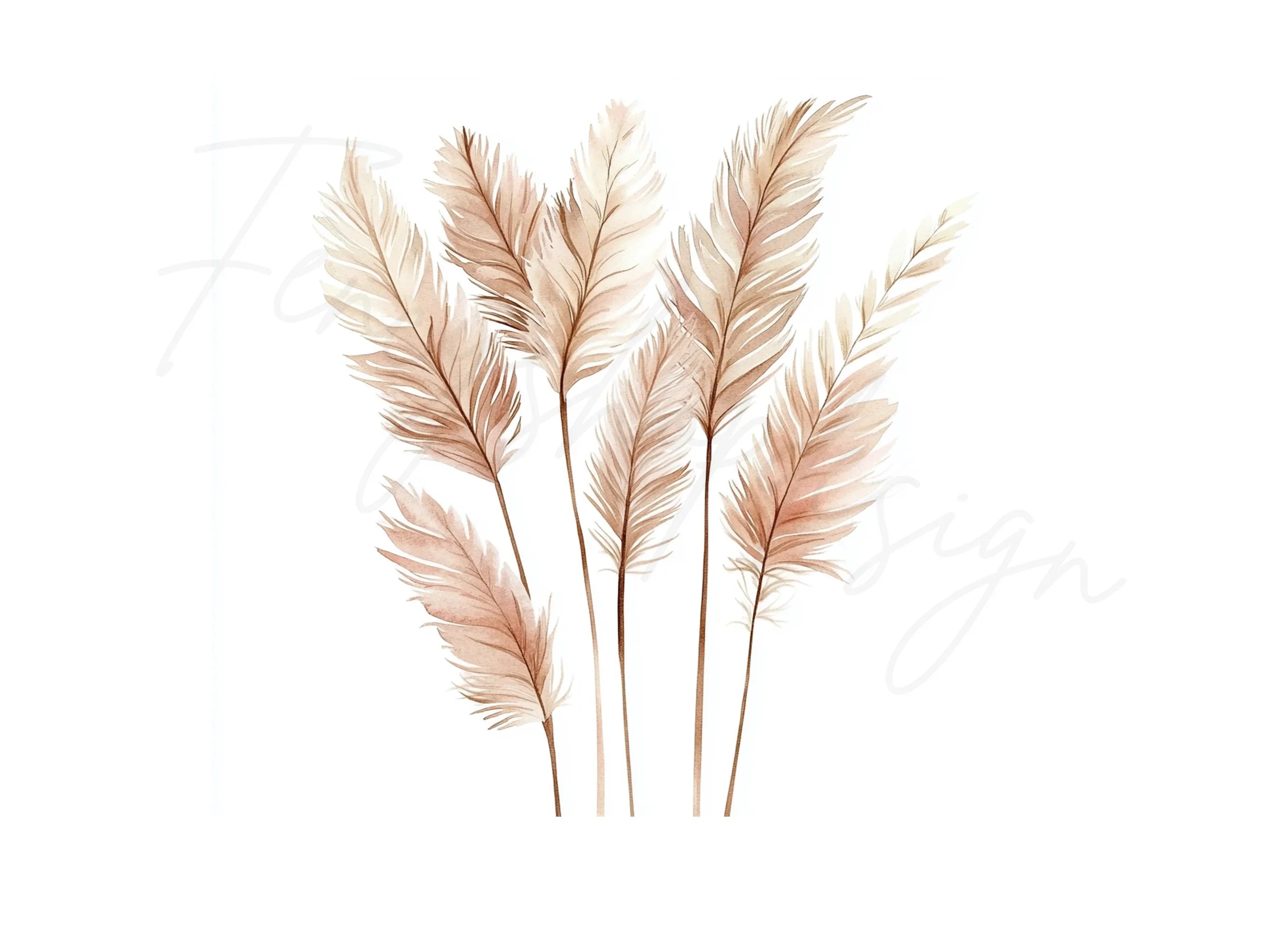 Pampas Grass Clipart Bundle