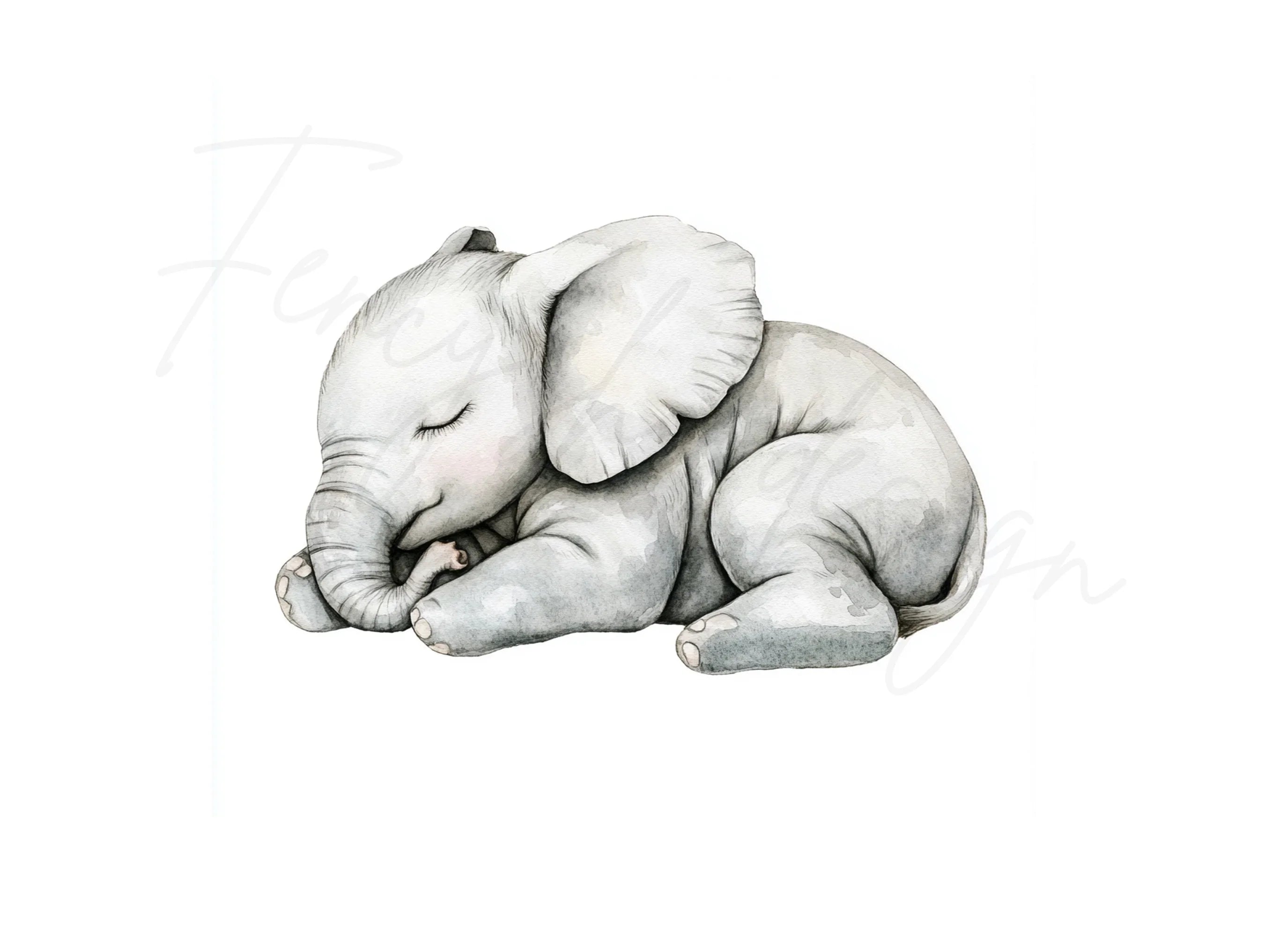 Sleeping Baby Elephant Clipart Bundle
