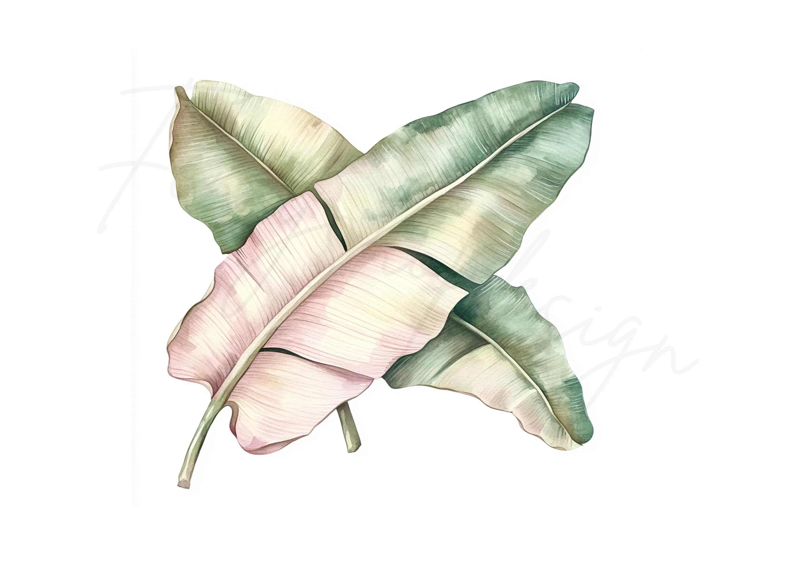 Banana Leaf Clipart Bundle
