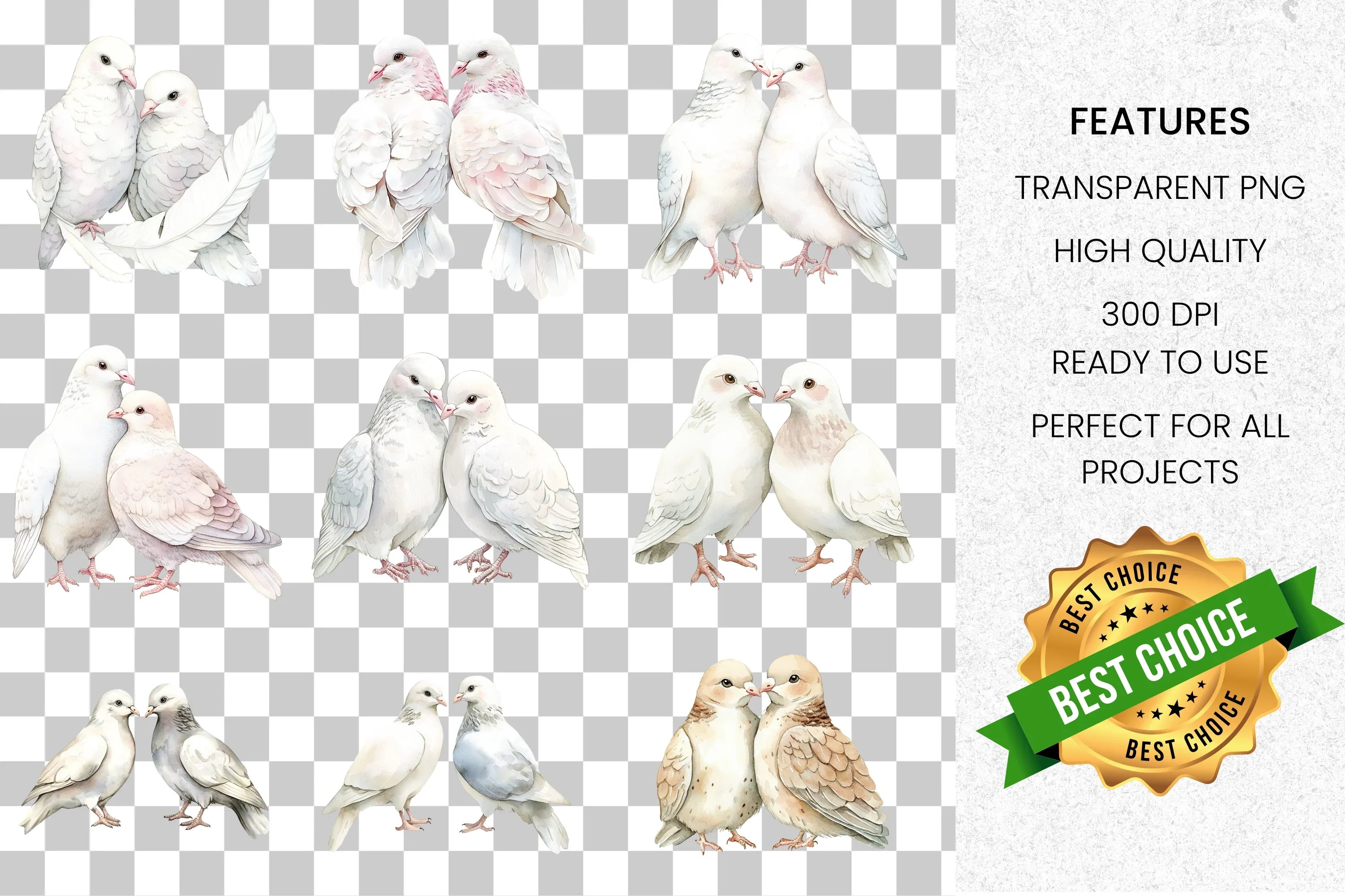Doves Love Birds Clipart Bundle