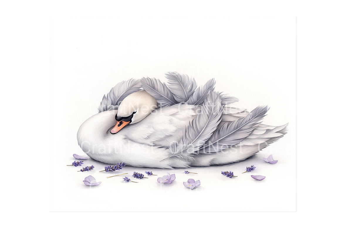 Peaceful Sleeping Swan Elements Clipart Bundle