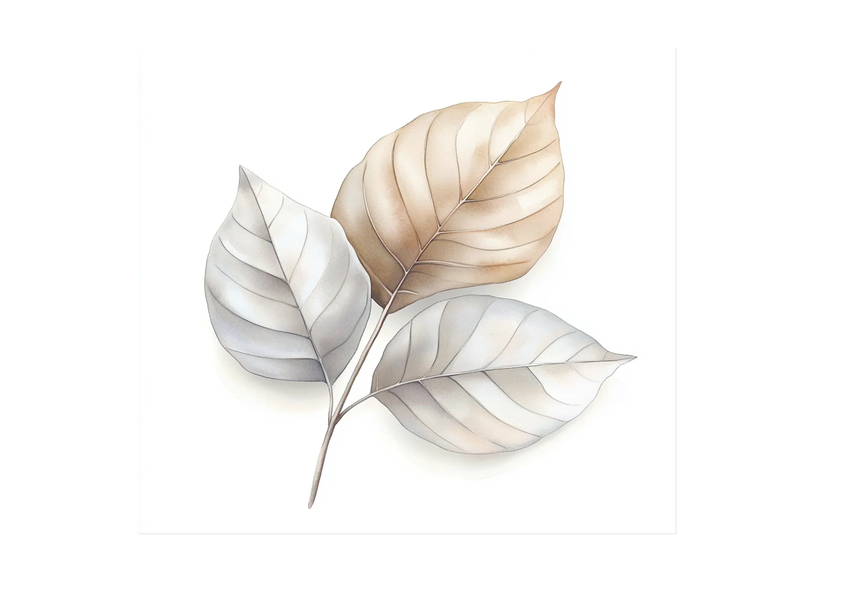 Neutral Leaves Clipart Bundle