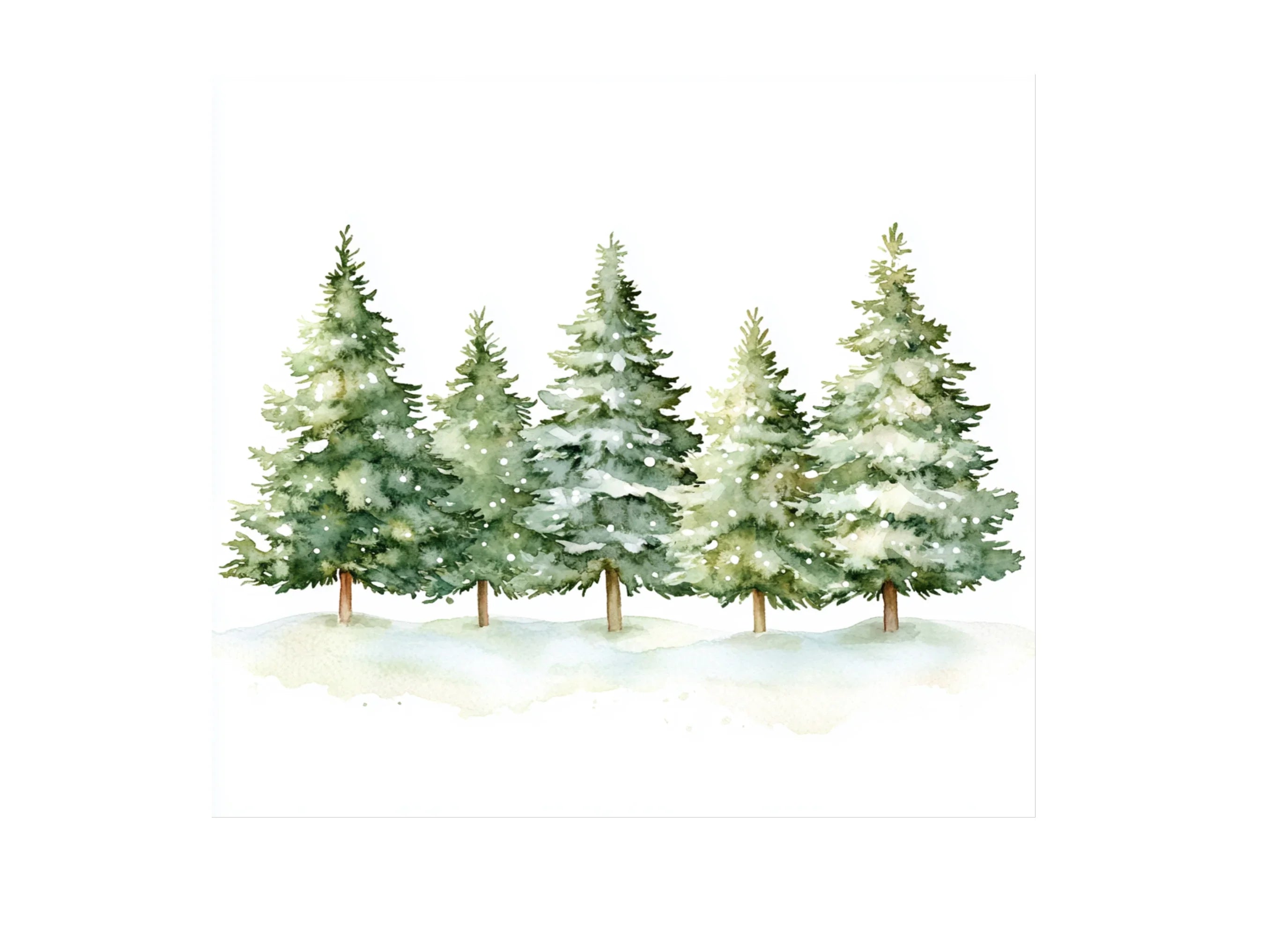Winter Pine Trees Clipart Bundle